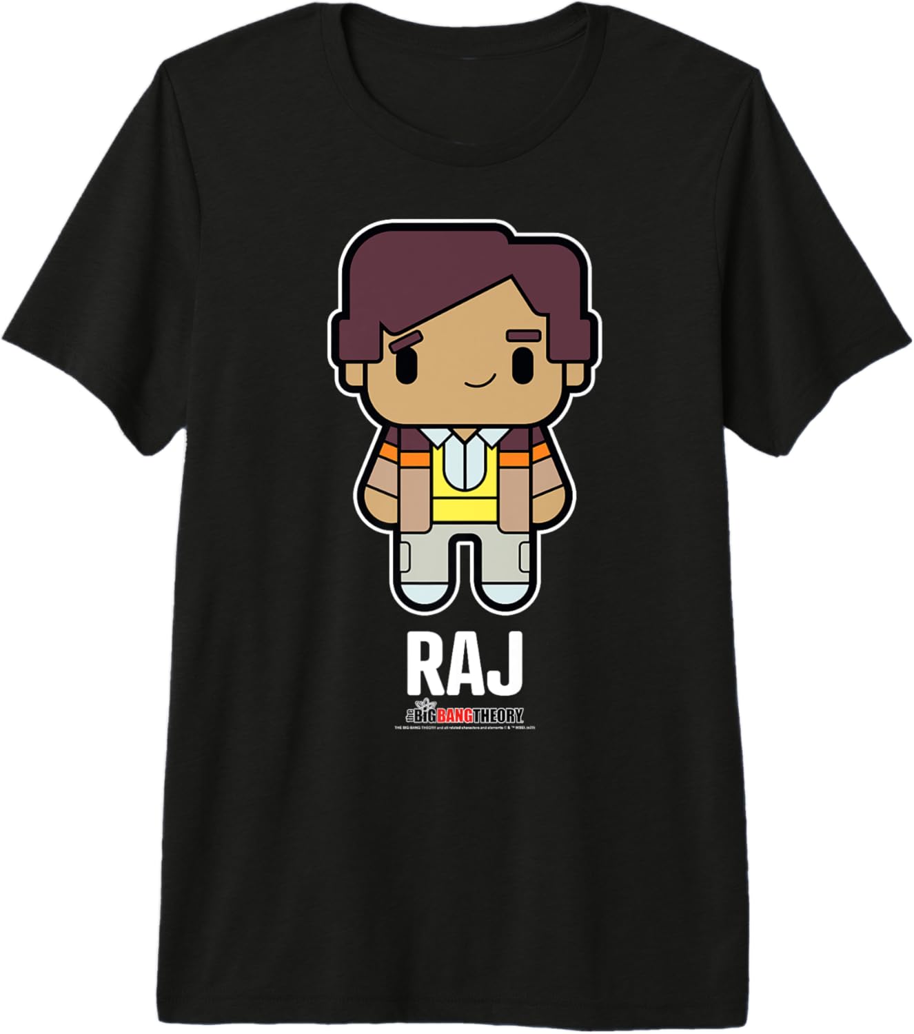 The Big Bang Theory Chibi Raj Premium