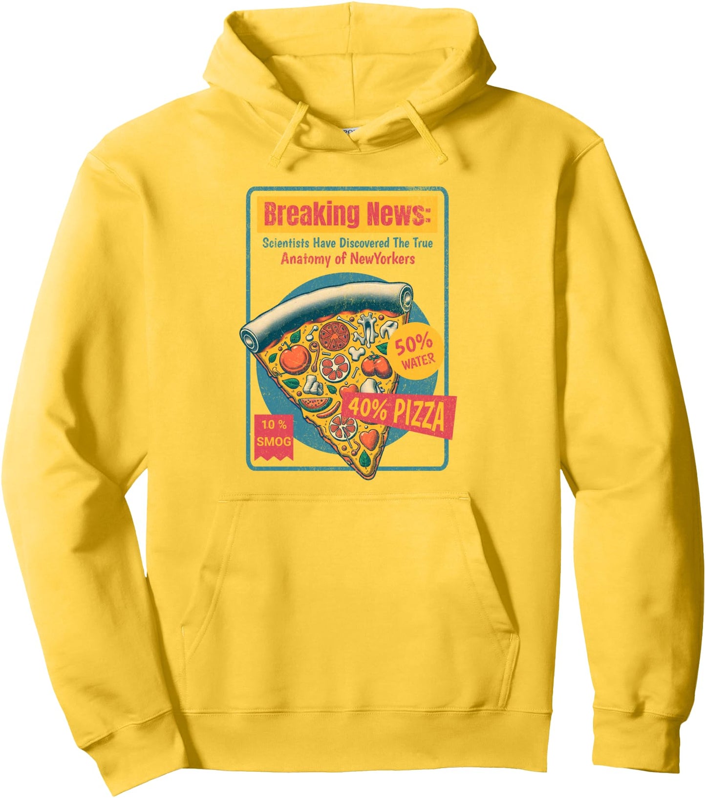 Funny Vintage Design Anatomy of NewYorkers Pullover Hoodie