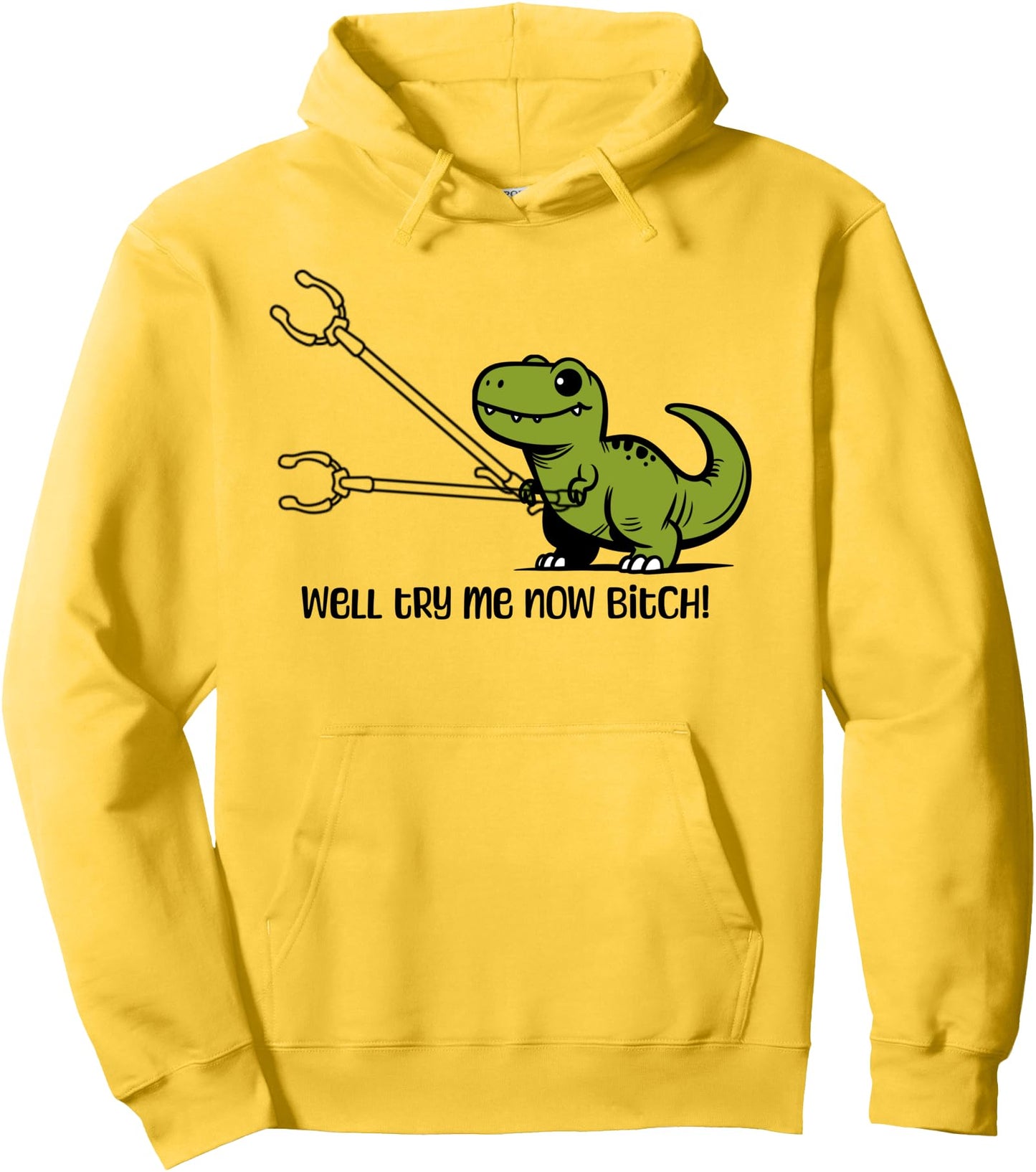 T-Rex Dinosaur Try Me Now Bitch Funny Tyrannosaurus Rex Pullover Hoodie