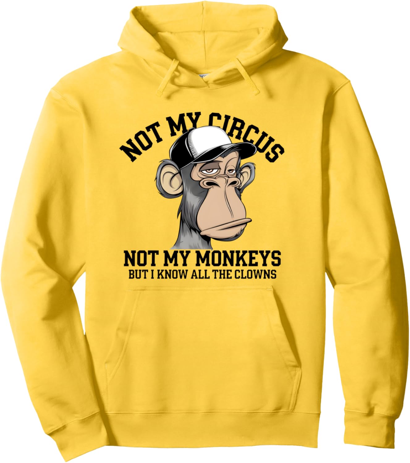 Not My Circus Not My Monkeys But I Know All The Clowns Men Pullover Hoodie