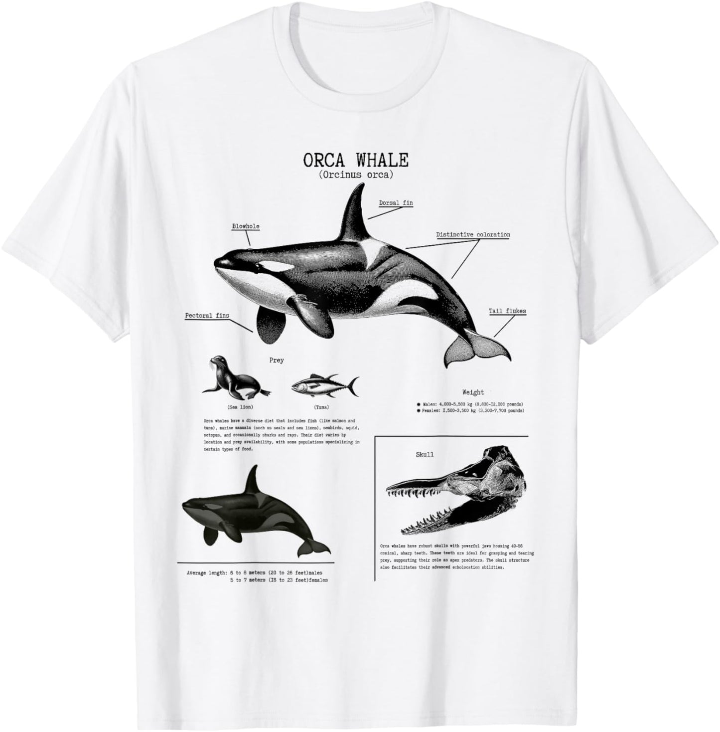 Orca whale Anatomy, cetacean lover, Marine Biologist T-Shirt