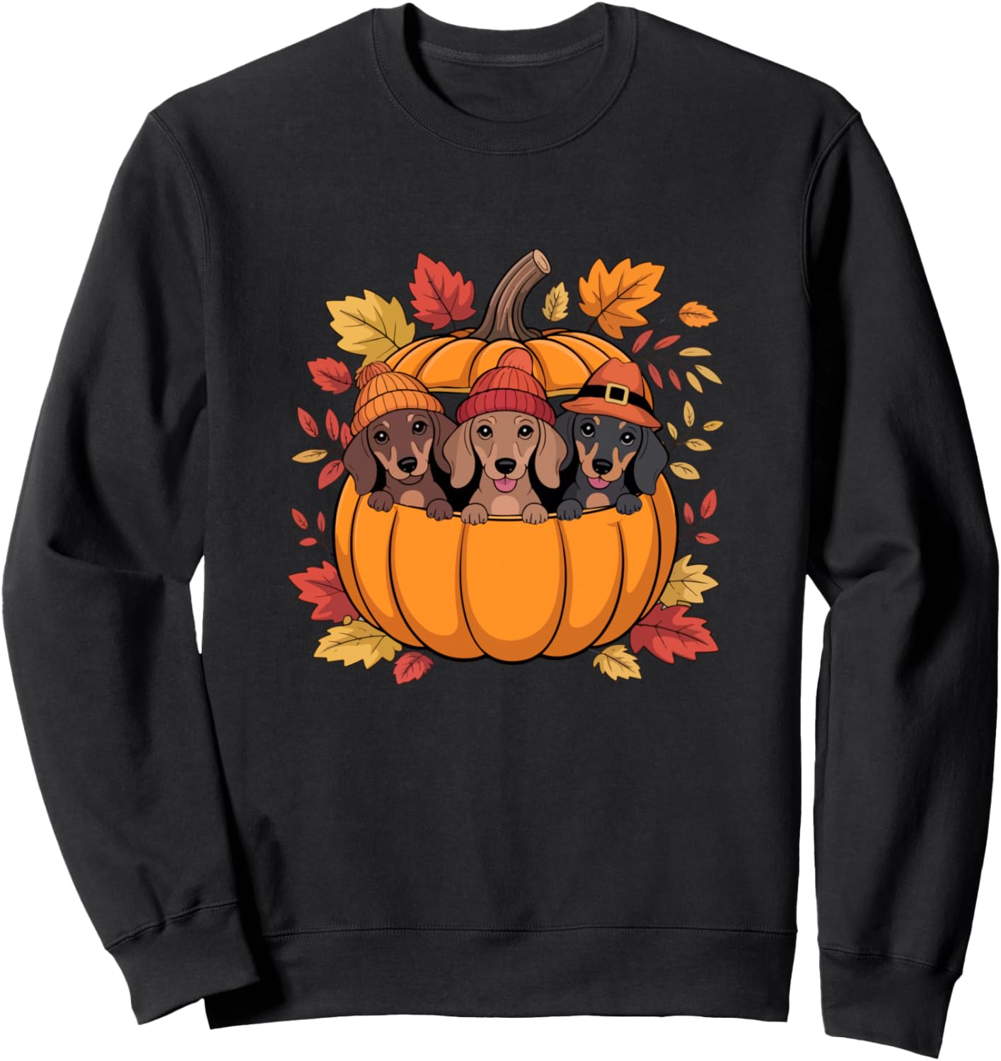 Three Cute Dachshunds Inside Pumpkin Thanksgiving Autumn Sweatshirt