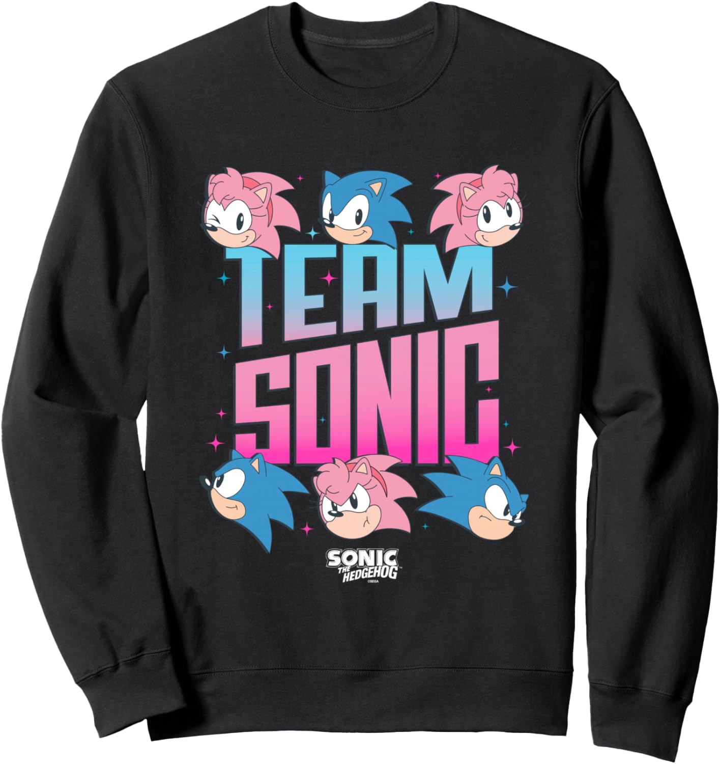Sonic The Hedgehog Team Sonic Amy Rose Retro Logo Sweatshirt