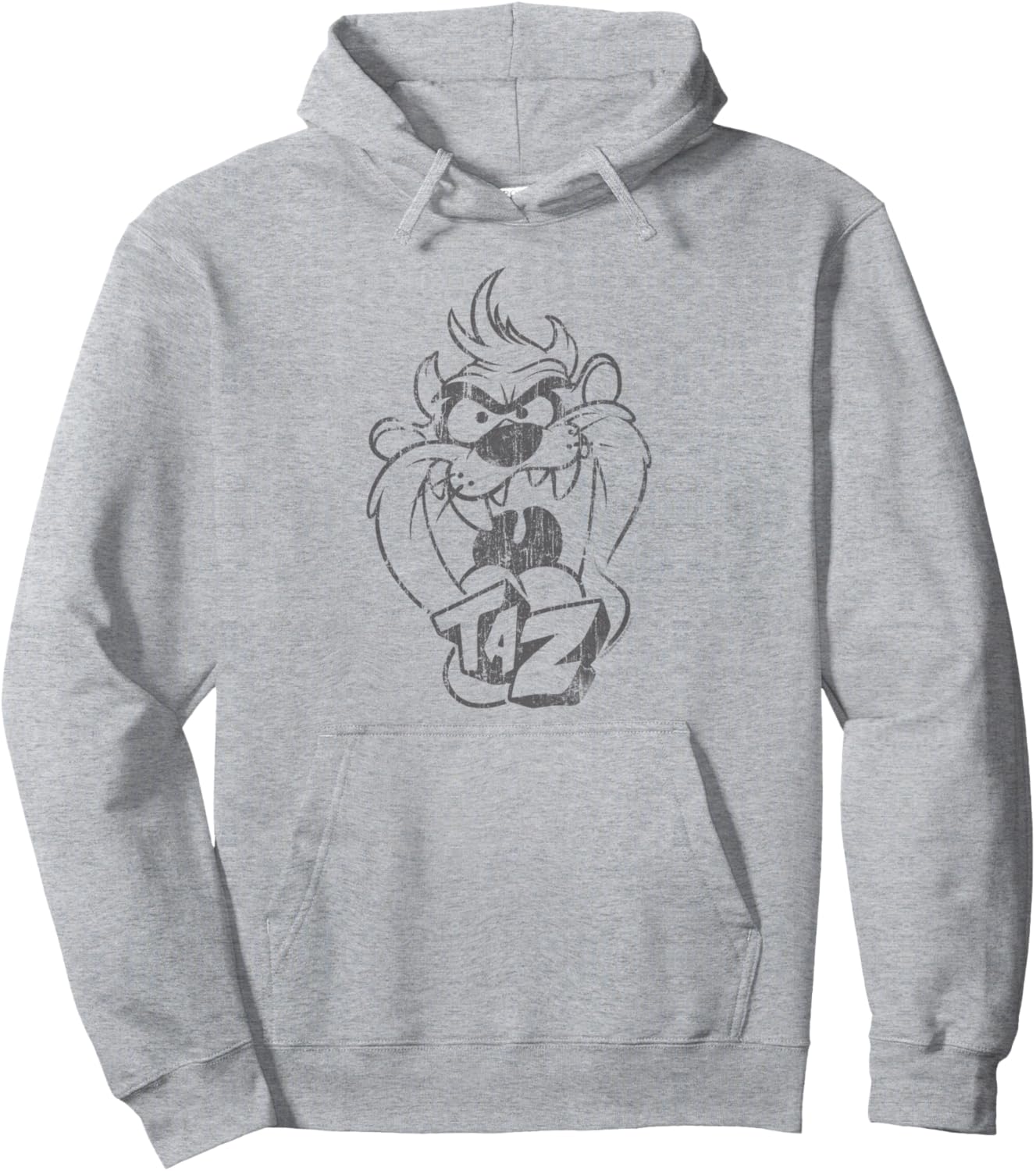 Looney Tunes Faded Taz Pullover Hoodie