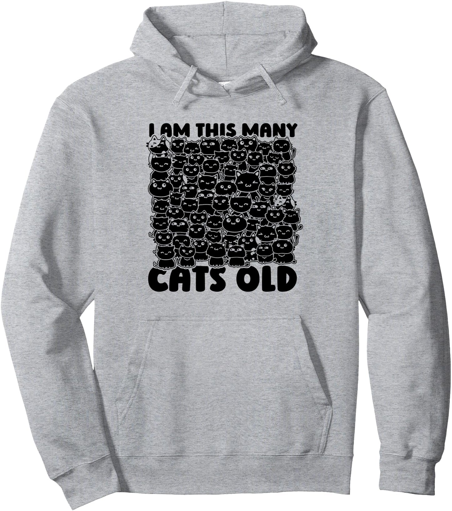 Birthday 60 Cats 60th Years Old Party Wife Sixieth Birthday Pullover Hoodie