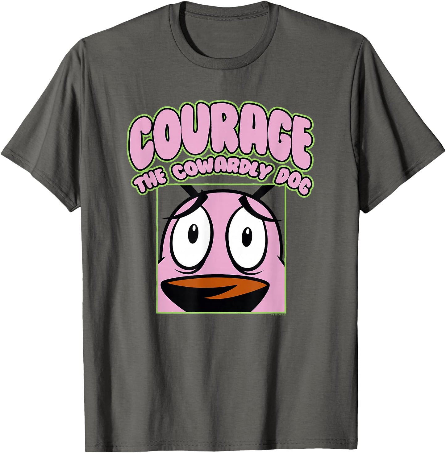Courage the Cowardly Dog Close Up Courage Cartoon