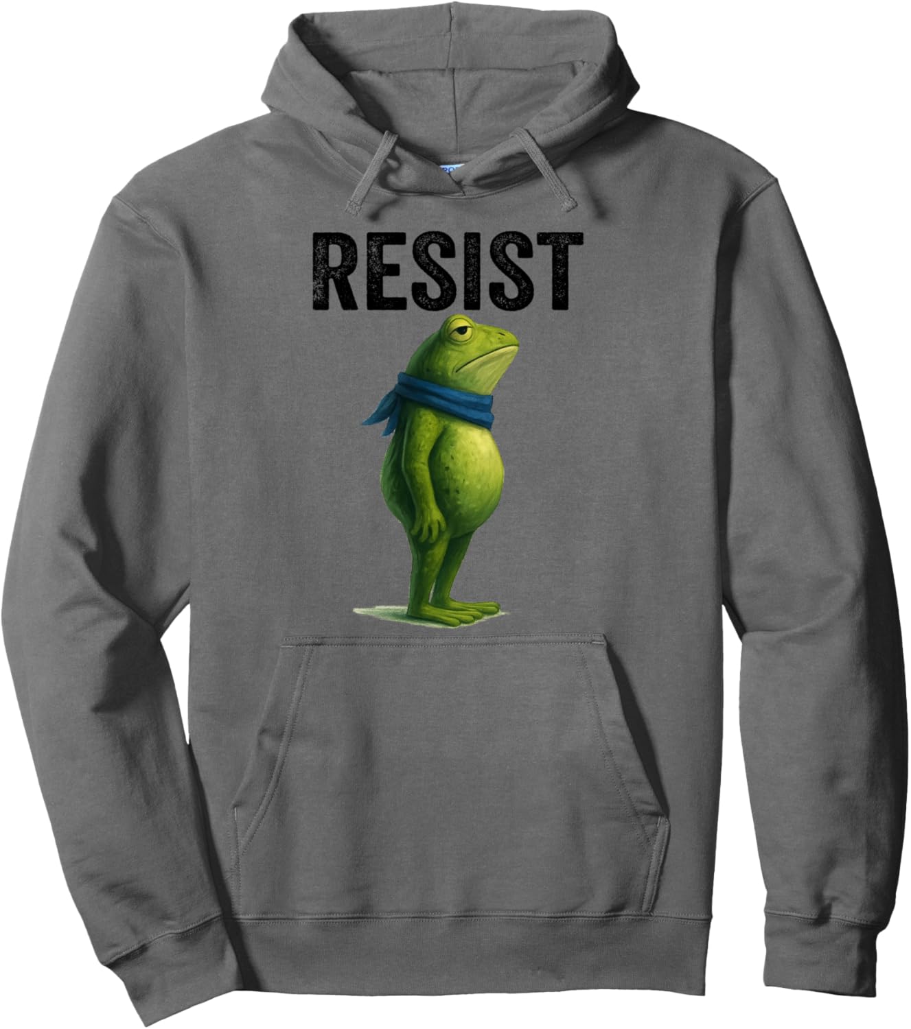 Resist Frog Portland Frog Protest Pullover Hoodie