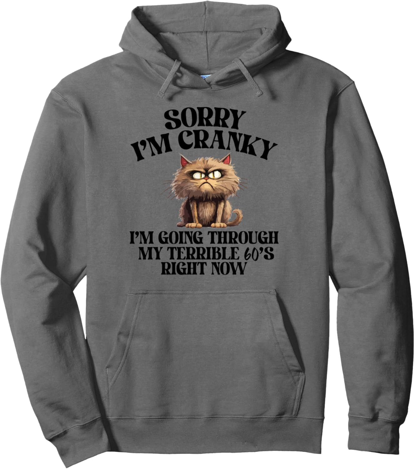 Sorry I'm Cranky I'm Going Through My Terrible 60s Funny Cat Pullover Hoodie