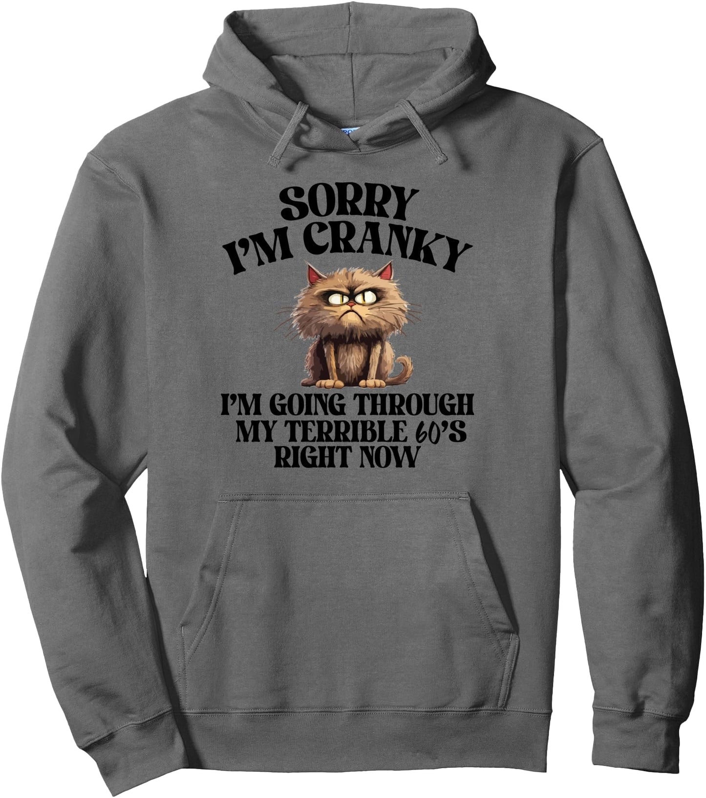 Sorry I'm Cranky I'm Going Through My Terrible 60s Funny Cat Pullover Hoodie