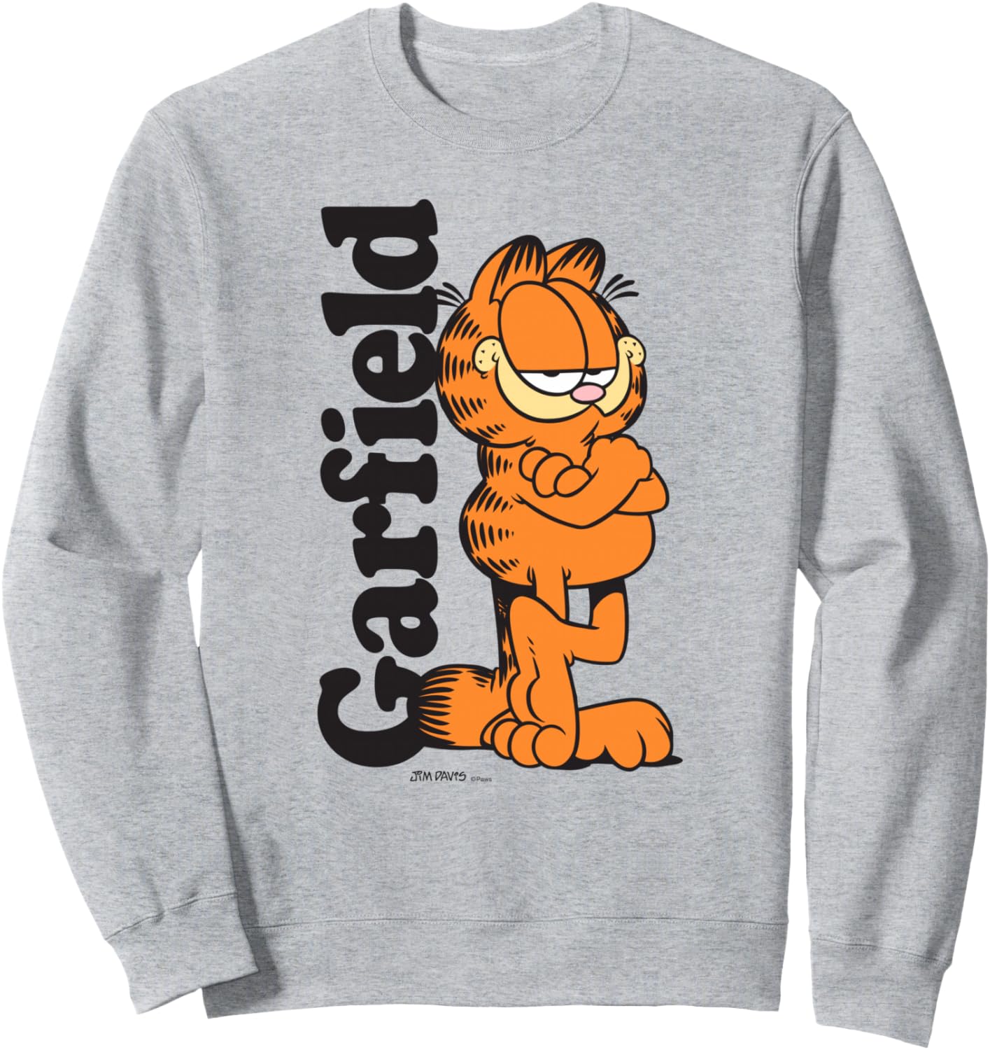 Garfield Leaning Against Logo Cartoon Cat Sweatshirt