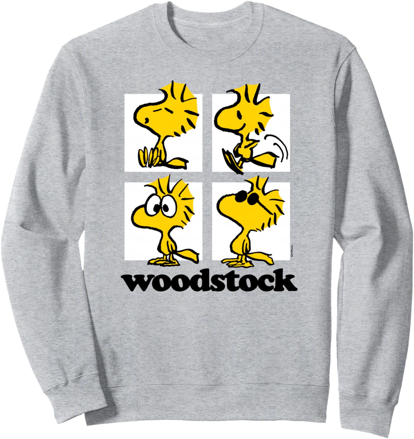 Peanuts - Woodstock Grid Sweatshirt