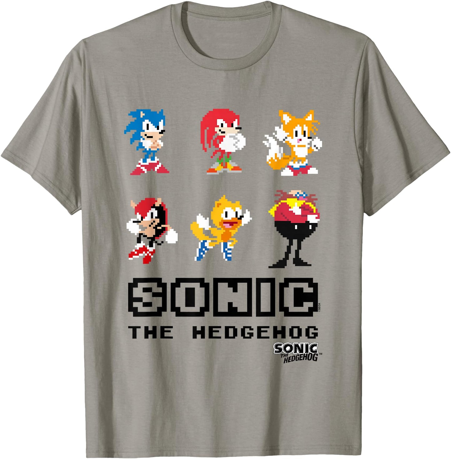 Sonic The Hedgehog Friends & Foes Pixel Art Group Shot