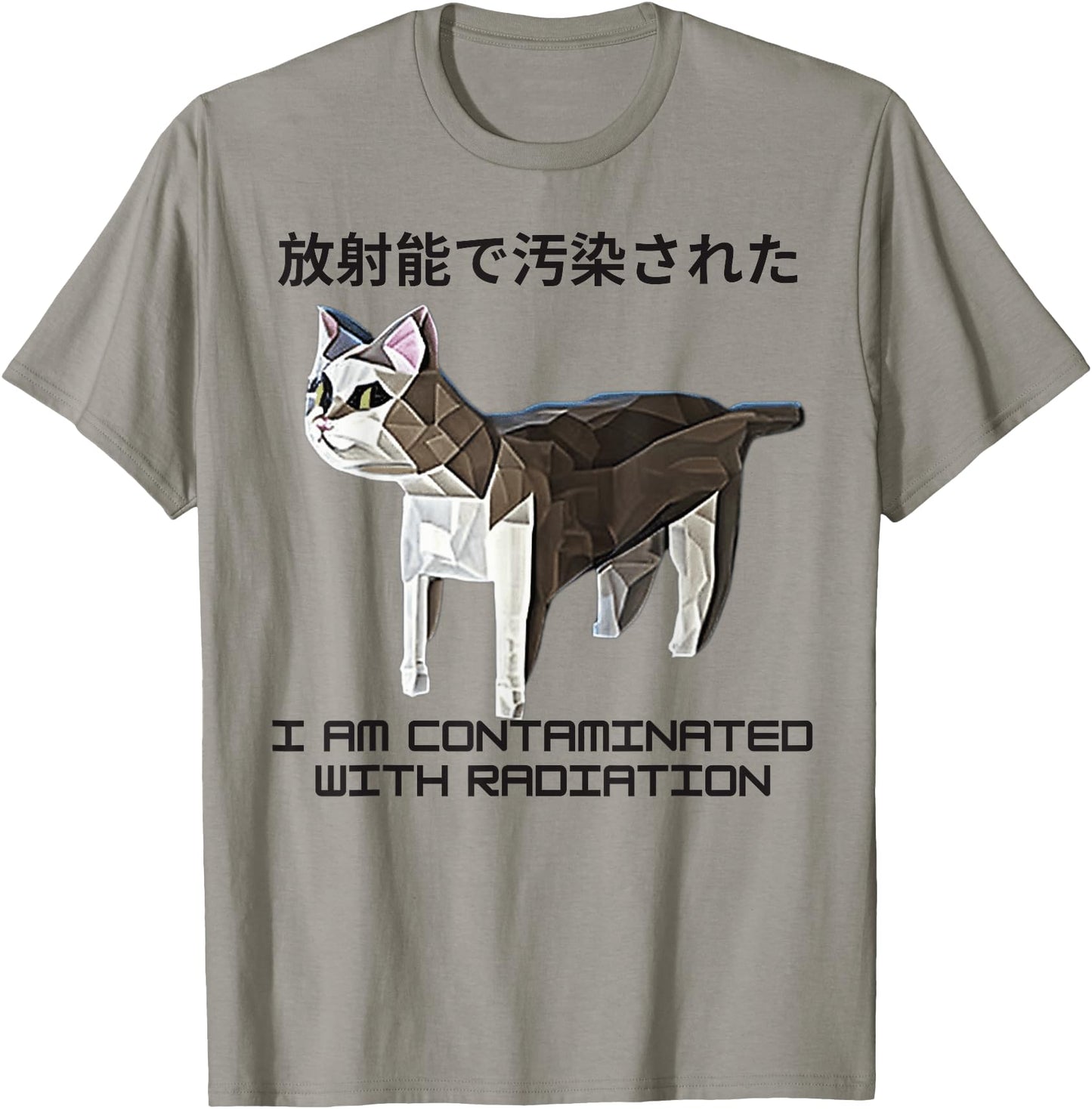 I am Contaminated With Radiation Japanese Cat Meme