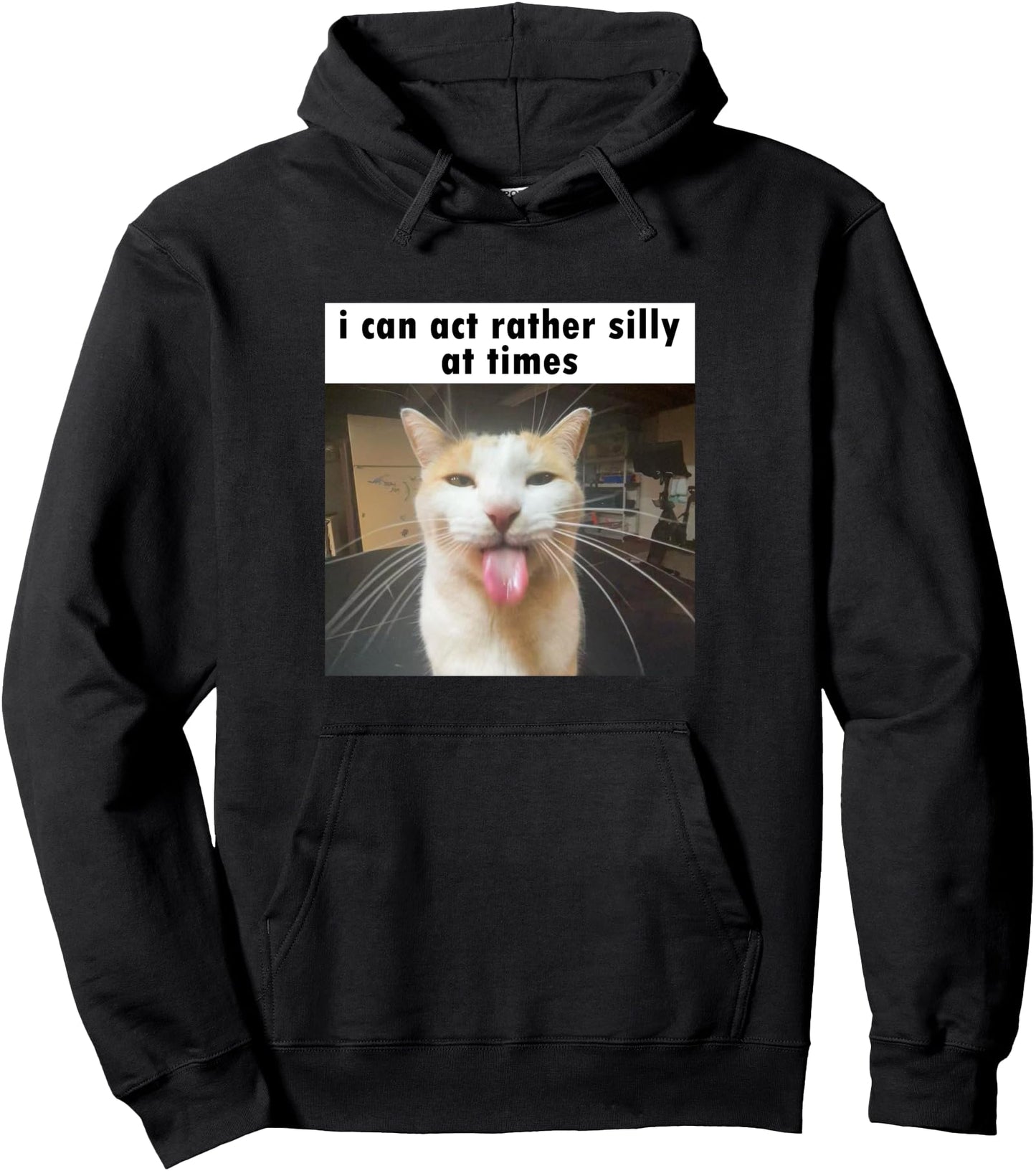 I Can Act Rather Silly At Times, Funny Silly Cat Meme Pullover Hoodie