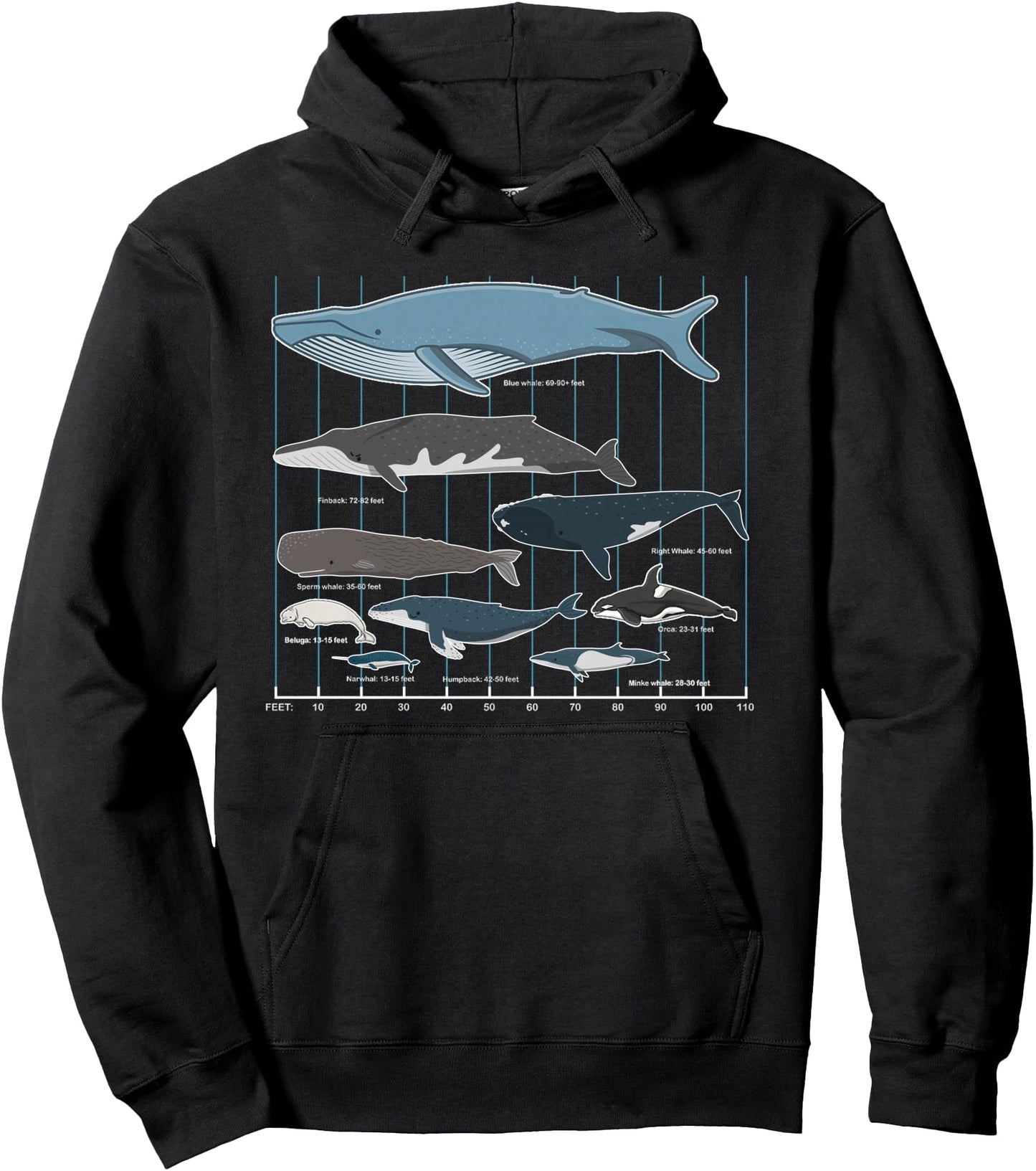 Types Of Whales Cute Ocean Mammals Guide Pullover Hoodie