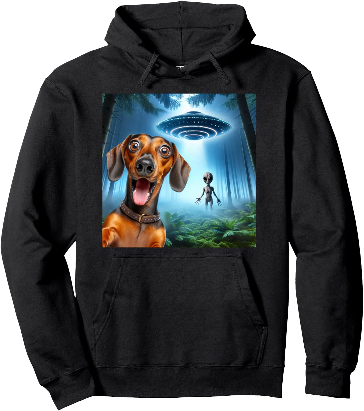 Dachshund Selfie alien UFO surprised Dachshund with alien Pullover Hoodie