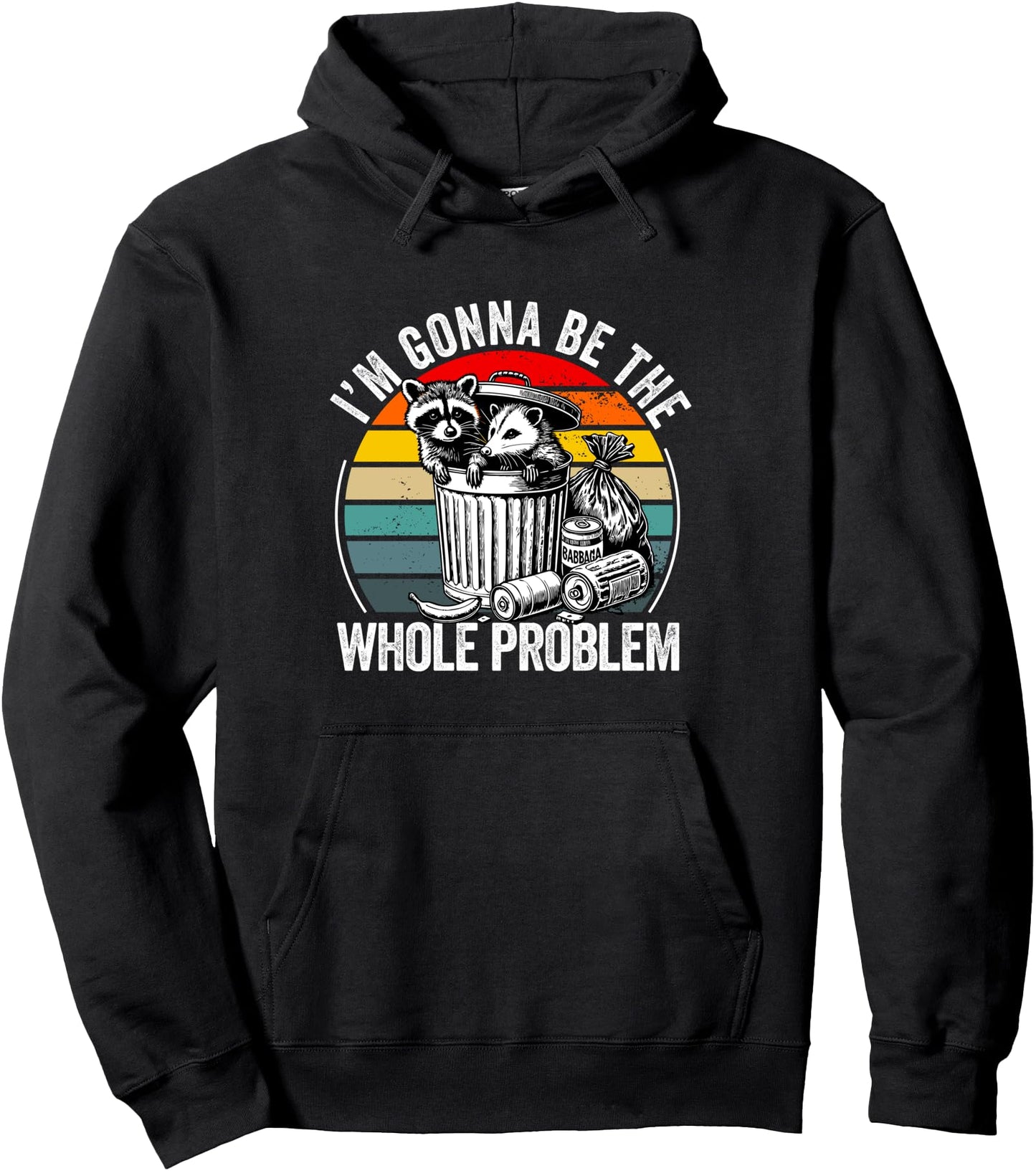 I'm Gonna Be The Whole Problem Funny Raccoon Pullover Hoodie