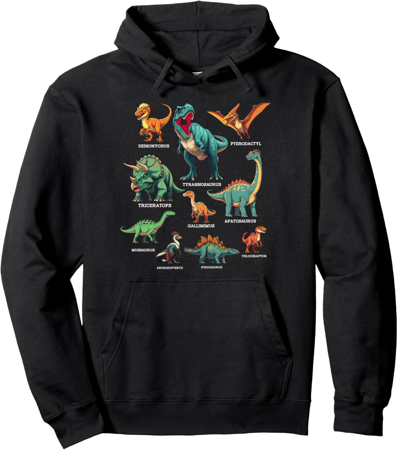 Types Of Dinosaurs Dino Identification for kids Pullover Hoodie