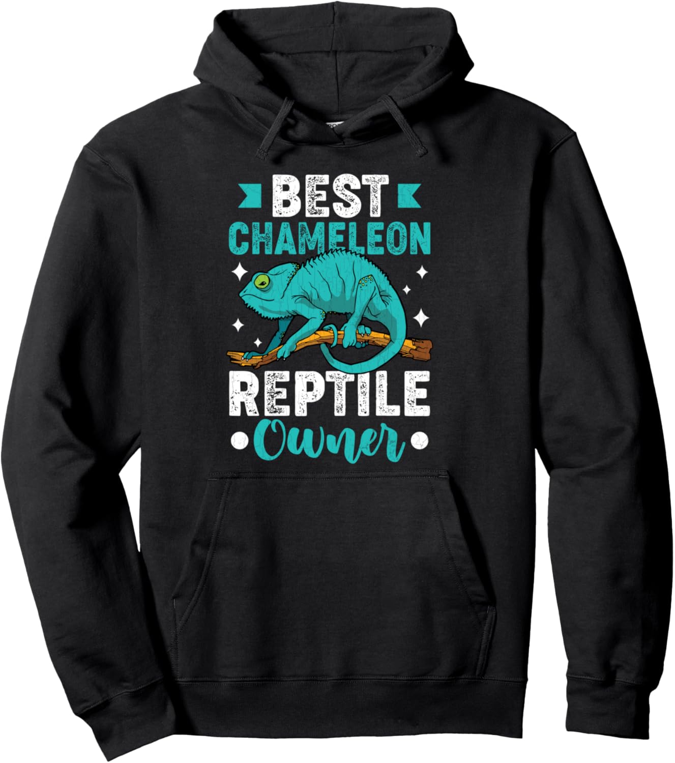 Chameleon Reptile Owner Funny Reptiles Lover Pet Graphic Pullover Hoodie