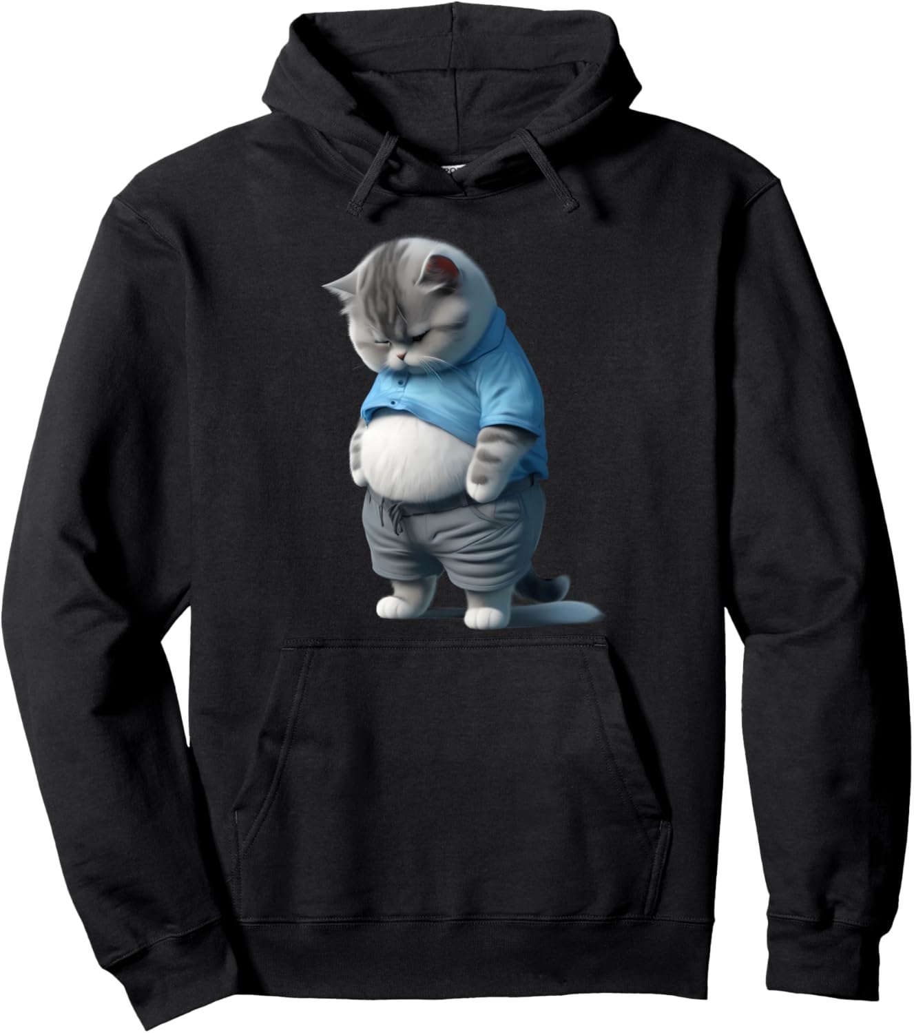 Funny Fat Sad Cat Art Design Fat Kitten Cat Lover Pullover Hoodie