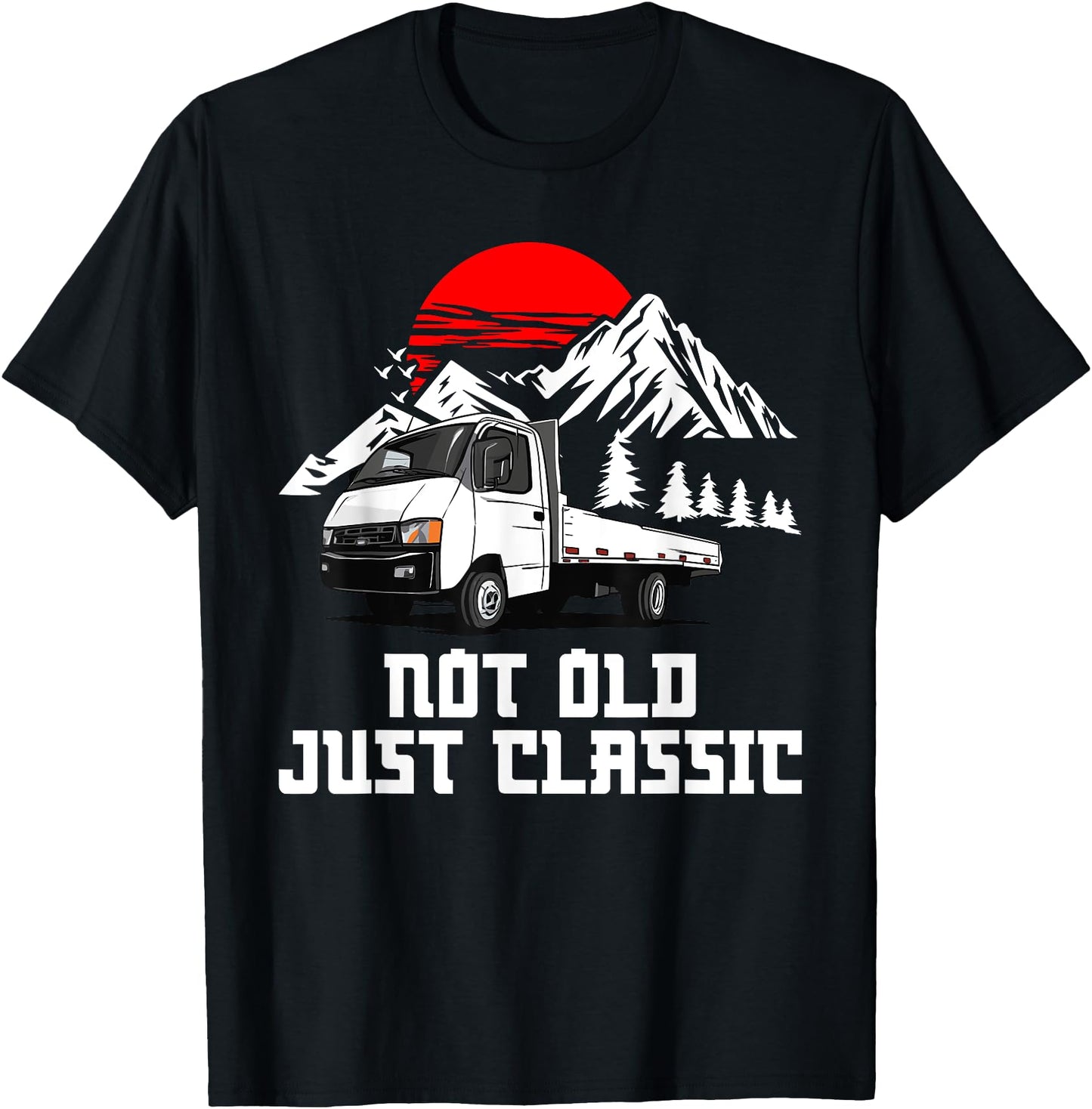 Kei Car Japan Truck Classic Off Road Japanese Kei Truck