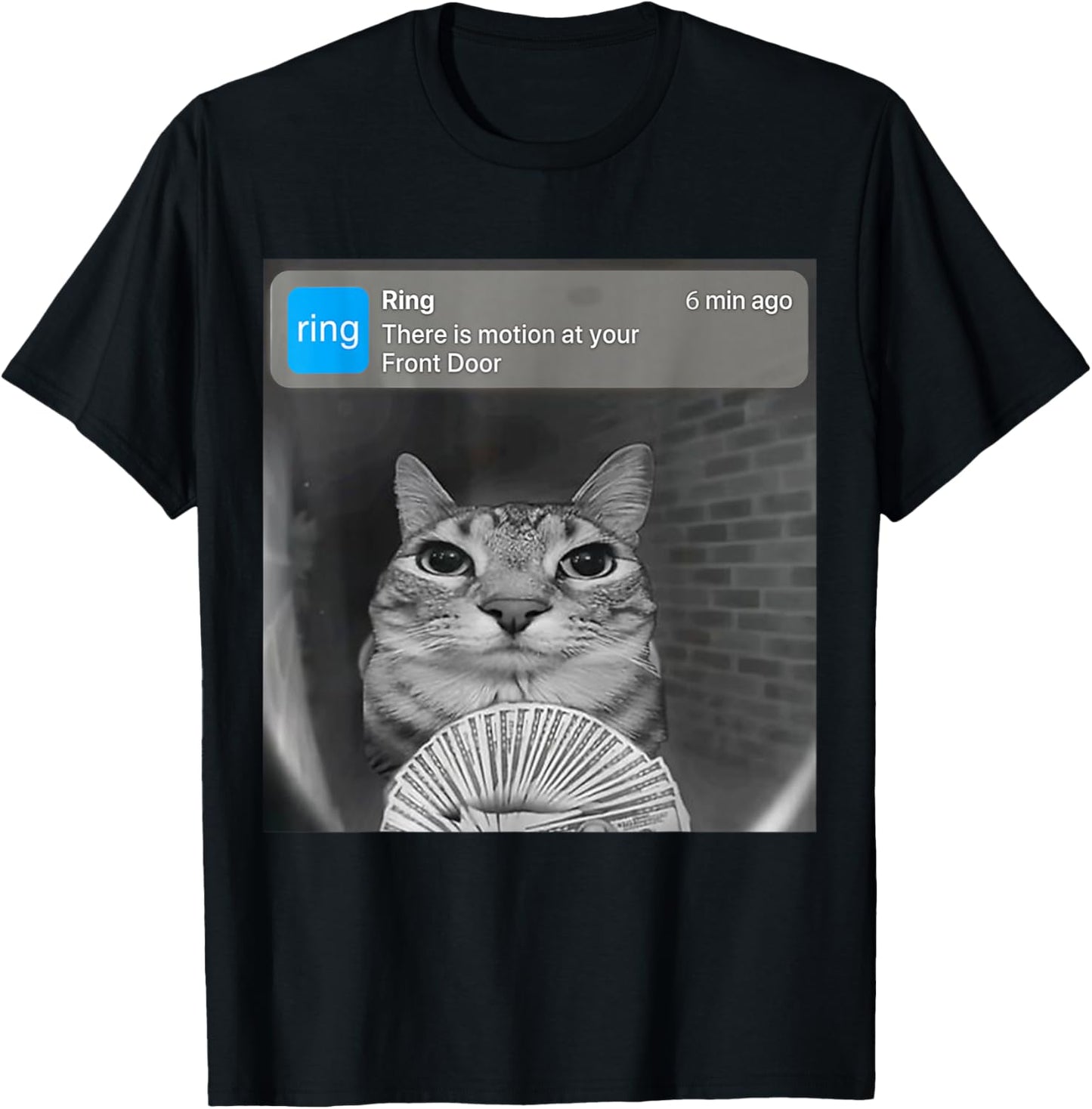 There is Motion at Your Front Door Funny Silly Cat Meme