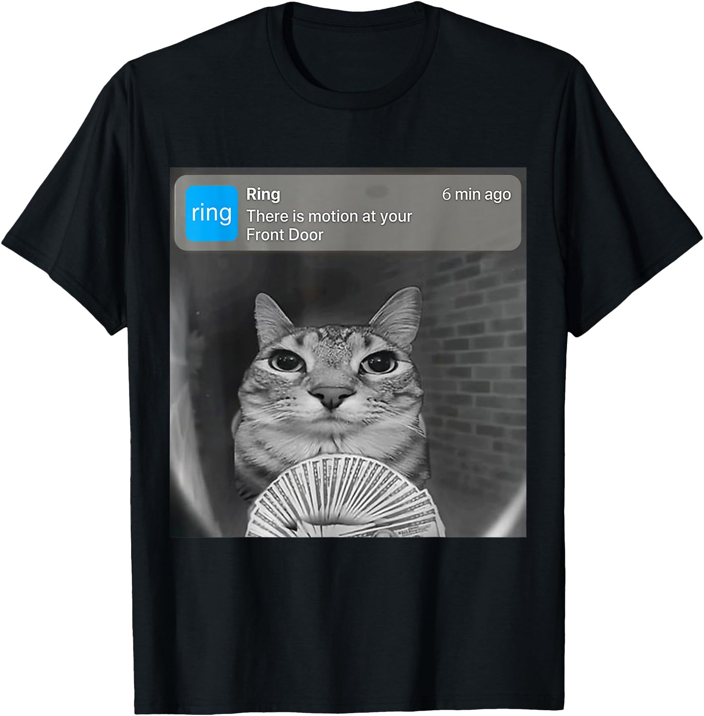There is Motion at Your Front Door Funny Silly Cat Meme