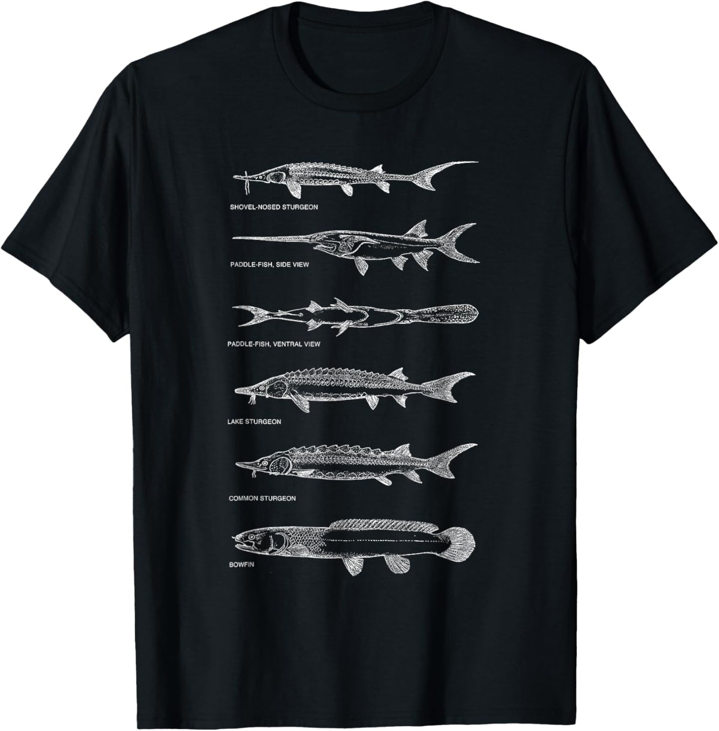 Sturgeons Paddle Fish Bowfin Fish Chart Best Fisherman Gift