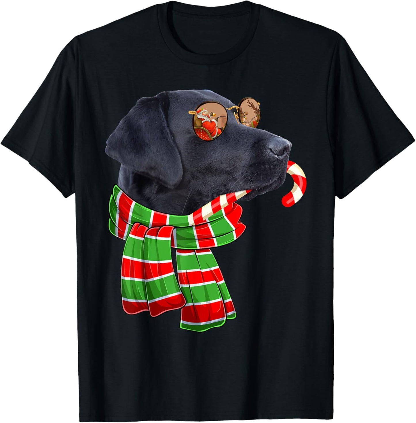 Black Lab Labrador Dog Owners Christmas Xmas Holiday Party