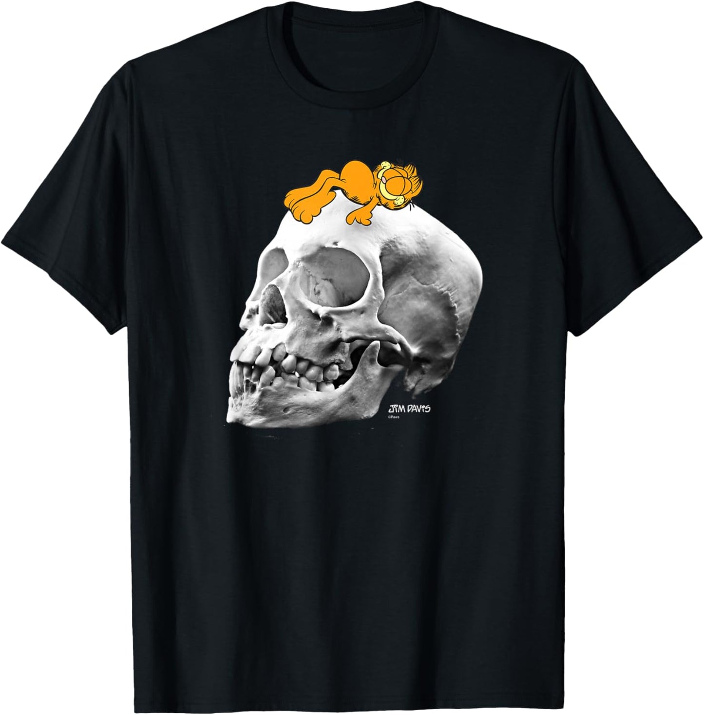 Garfield Lounging on Skull Spooky Cartoon Cat