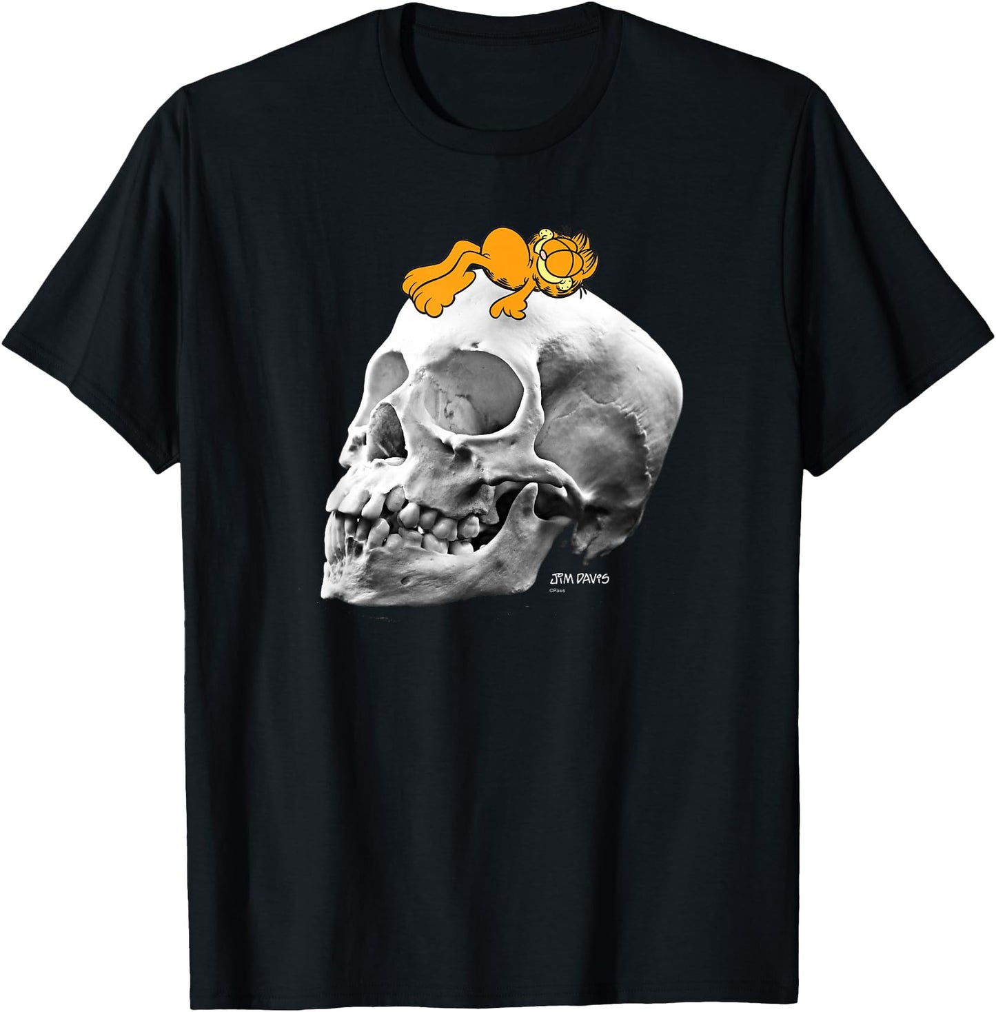 Garfield Lounging on Skull Spooky Cartoon Cat