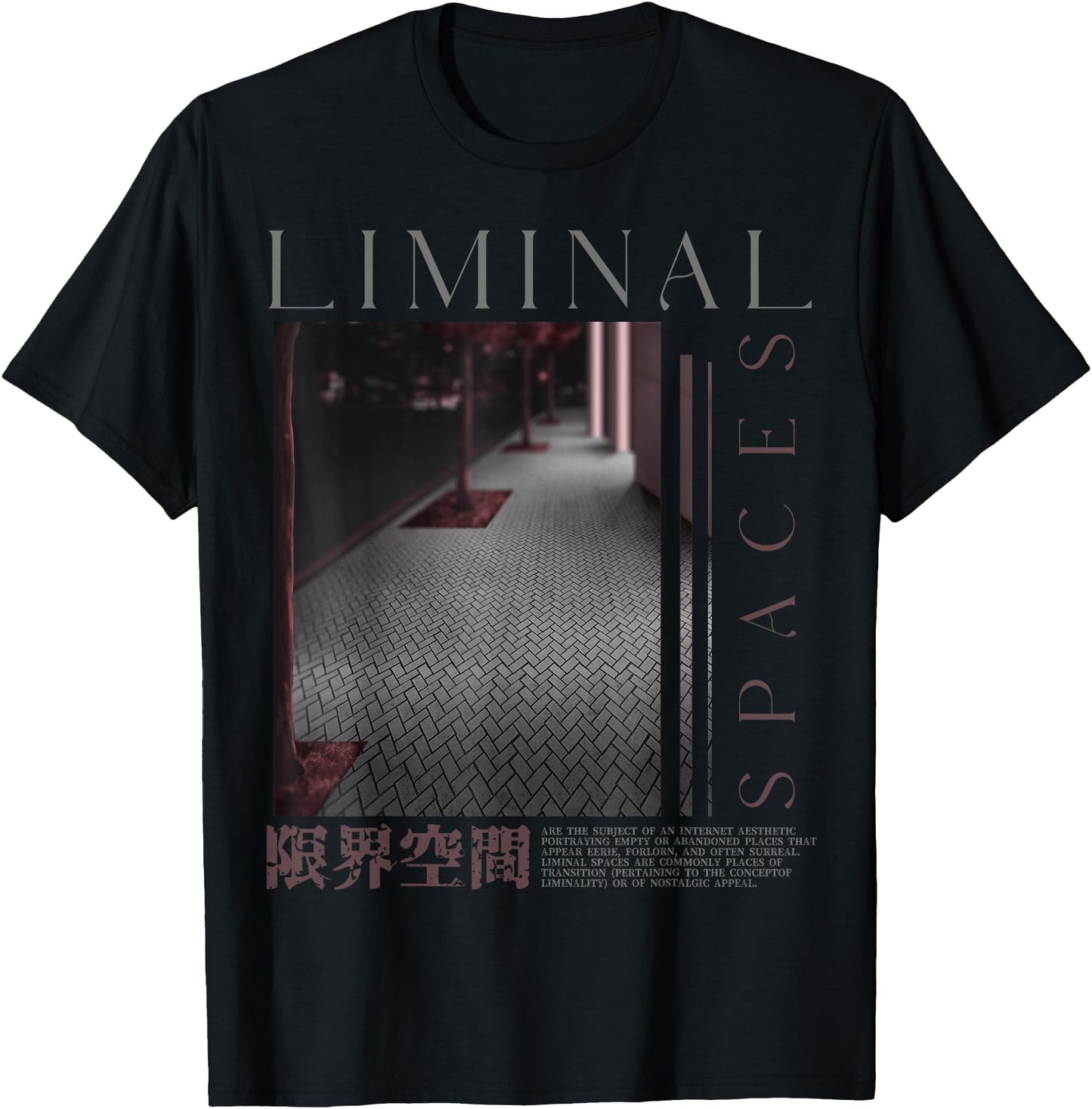 Liminal Aesthetic Vaporwave Japanese Kawaii Pastel Goth