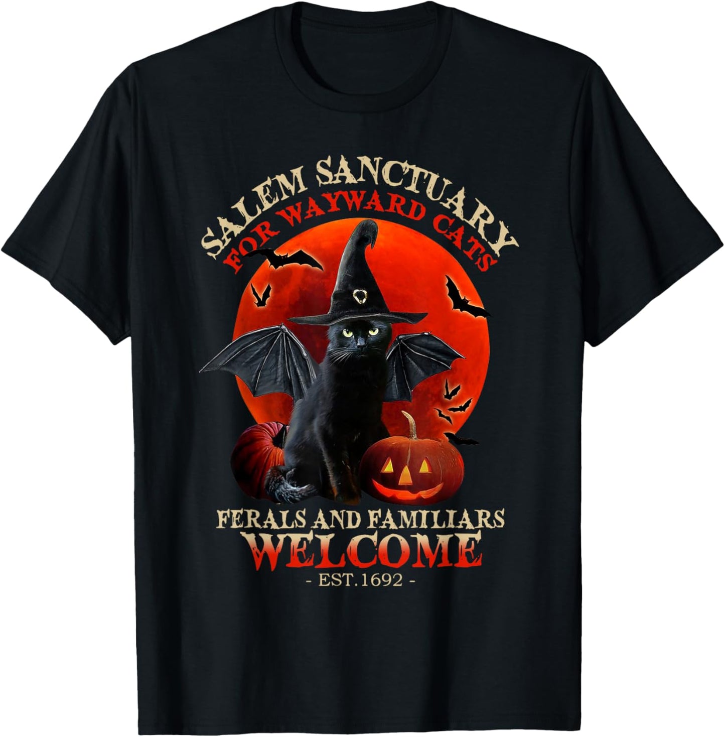 Witch Witchcraft Salem Sanctuary For Wayward Black Cats 1692