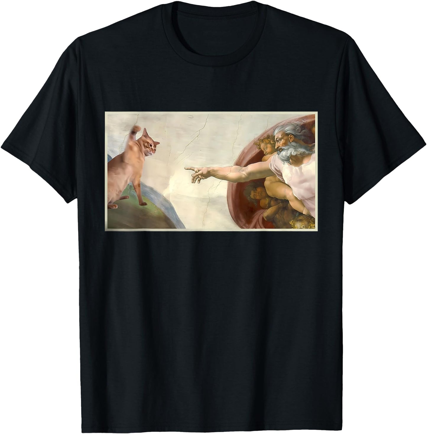 Funny Cat Slap Sarcastic Creation Of Adam Cat Meme Cat Lover