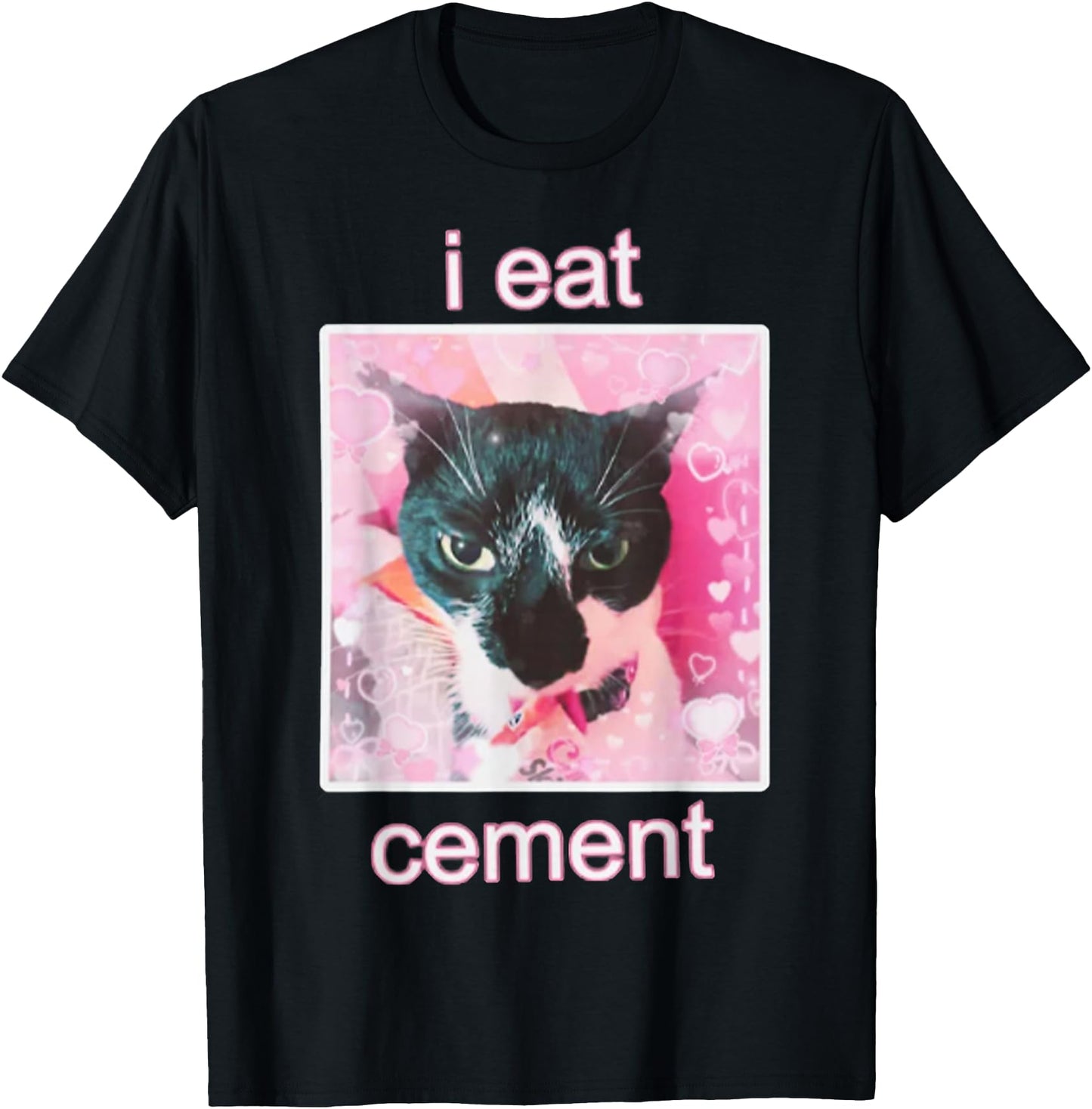 I Eat Cement Cat