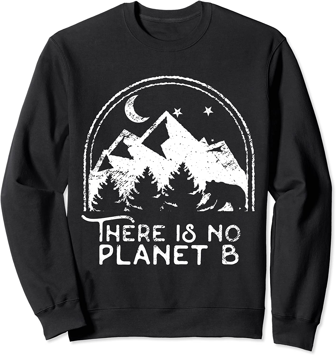 Earth Sweatshirt There Is No Planet B Sweatshirt Sweatshirt