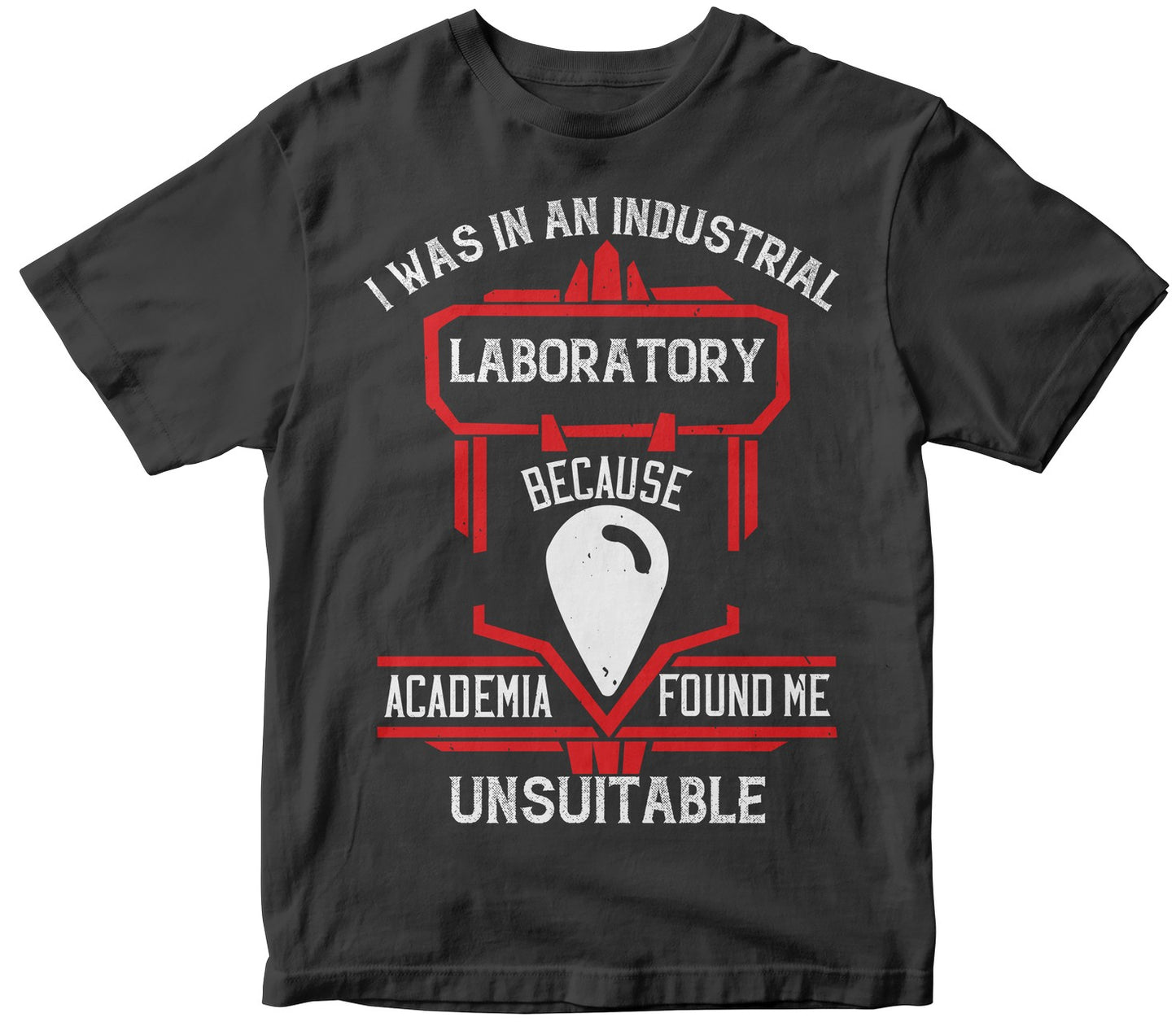 I Was In An Industrial Laboratory