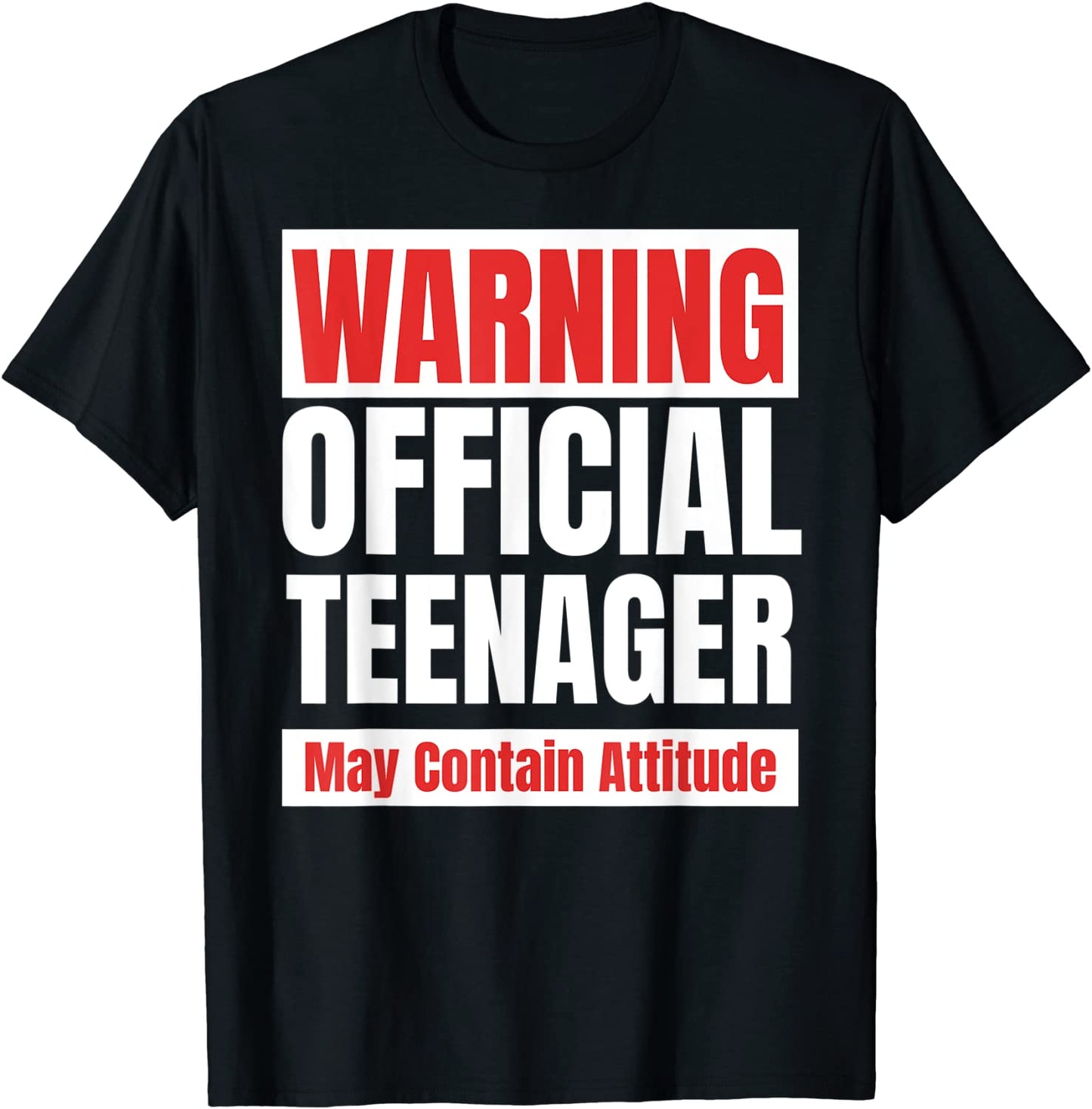 Official Teenager funny 13 birthday t shirt gift 13th tee T-Shirt