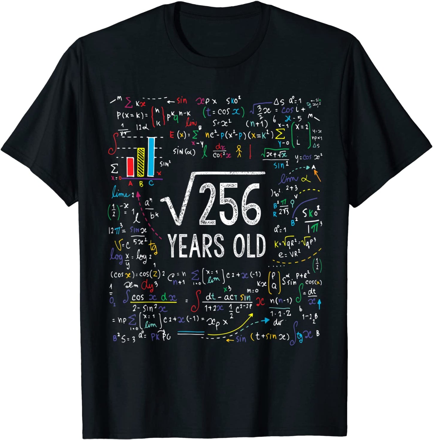 Square Root Of 256 16th Birthday 16 Year Old Gifts Math Bday T-Shirt