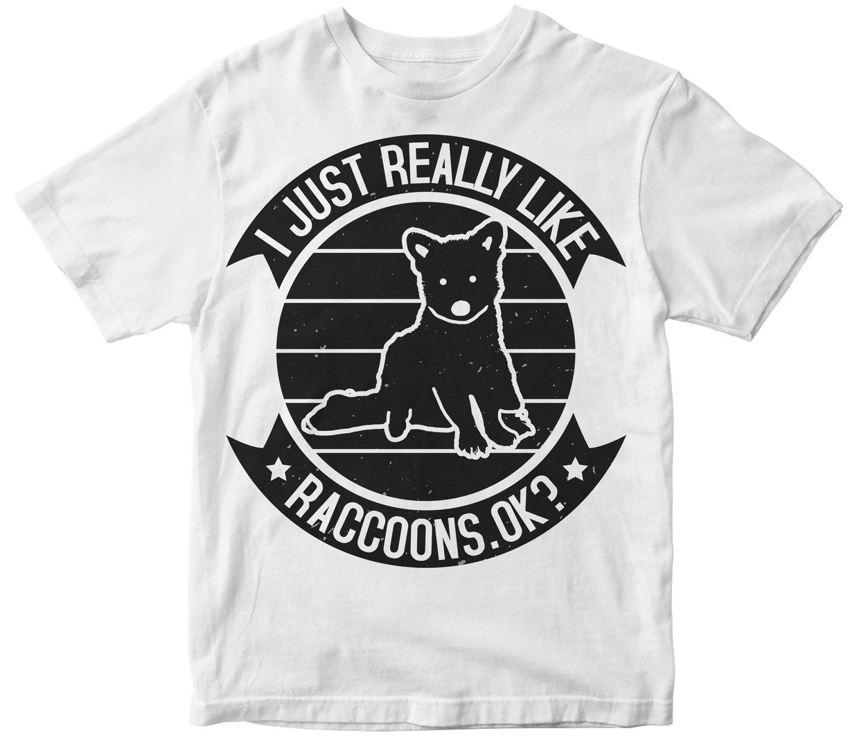 I Just Really Like Raccoons