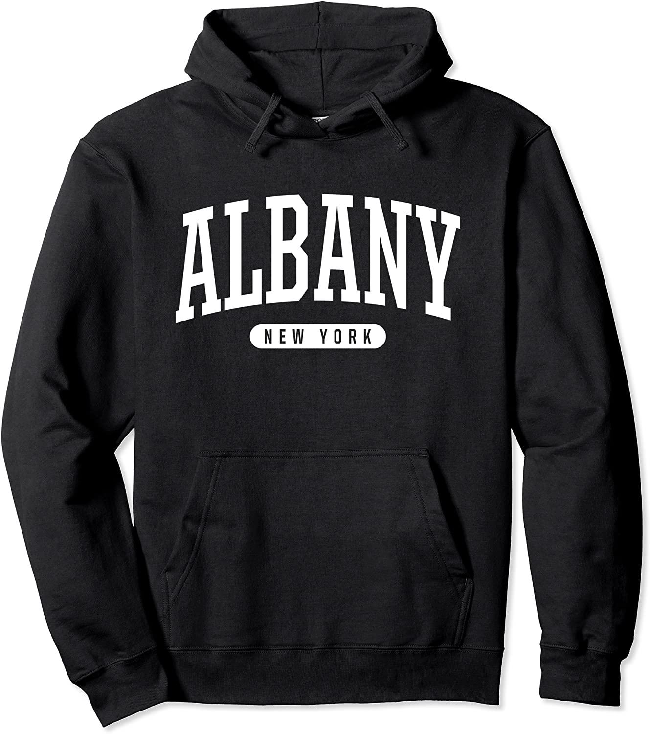 Albany Hoodie Sweatshirt College University Style NY USA