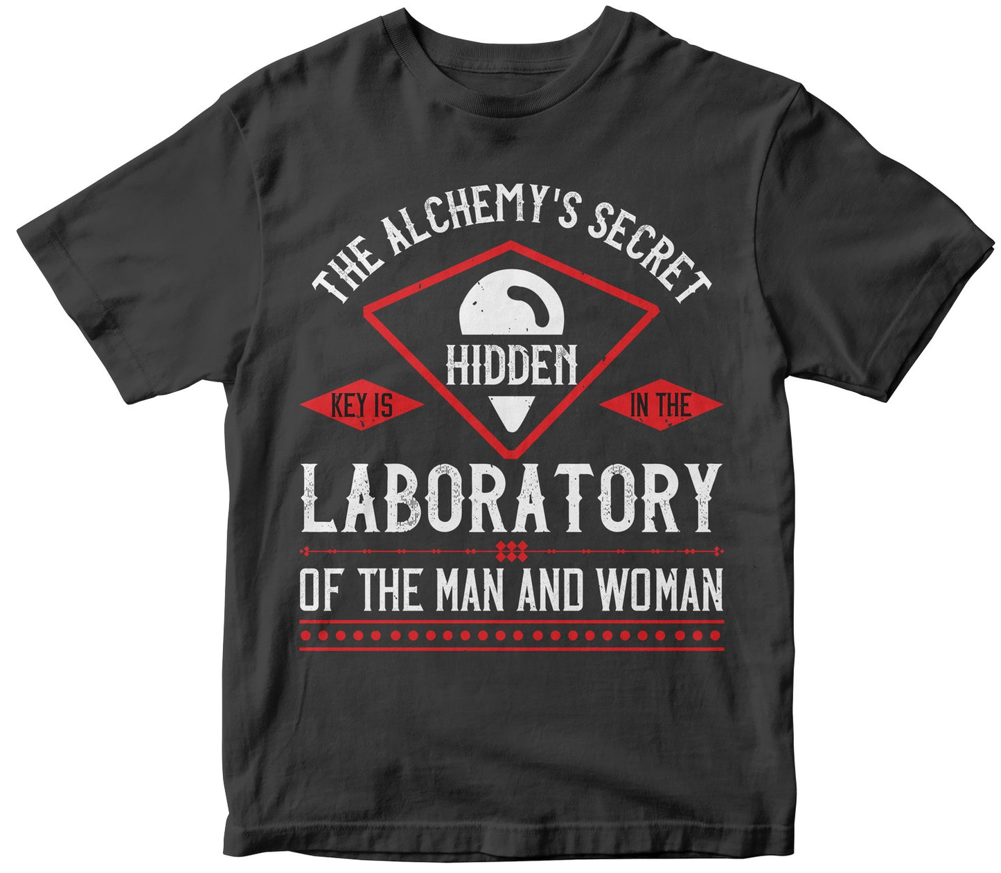 The Alchemy'S Secret Key
