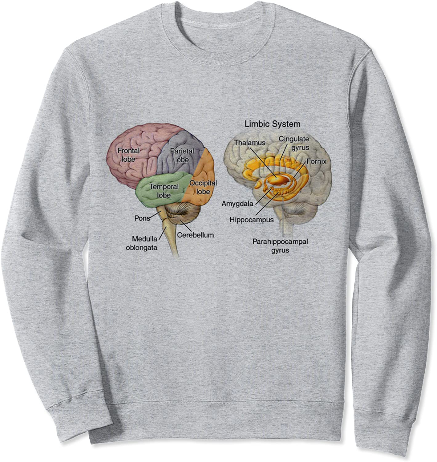 Human Brain Anatomy Design Gift Idea Sweatshirt