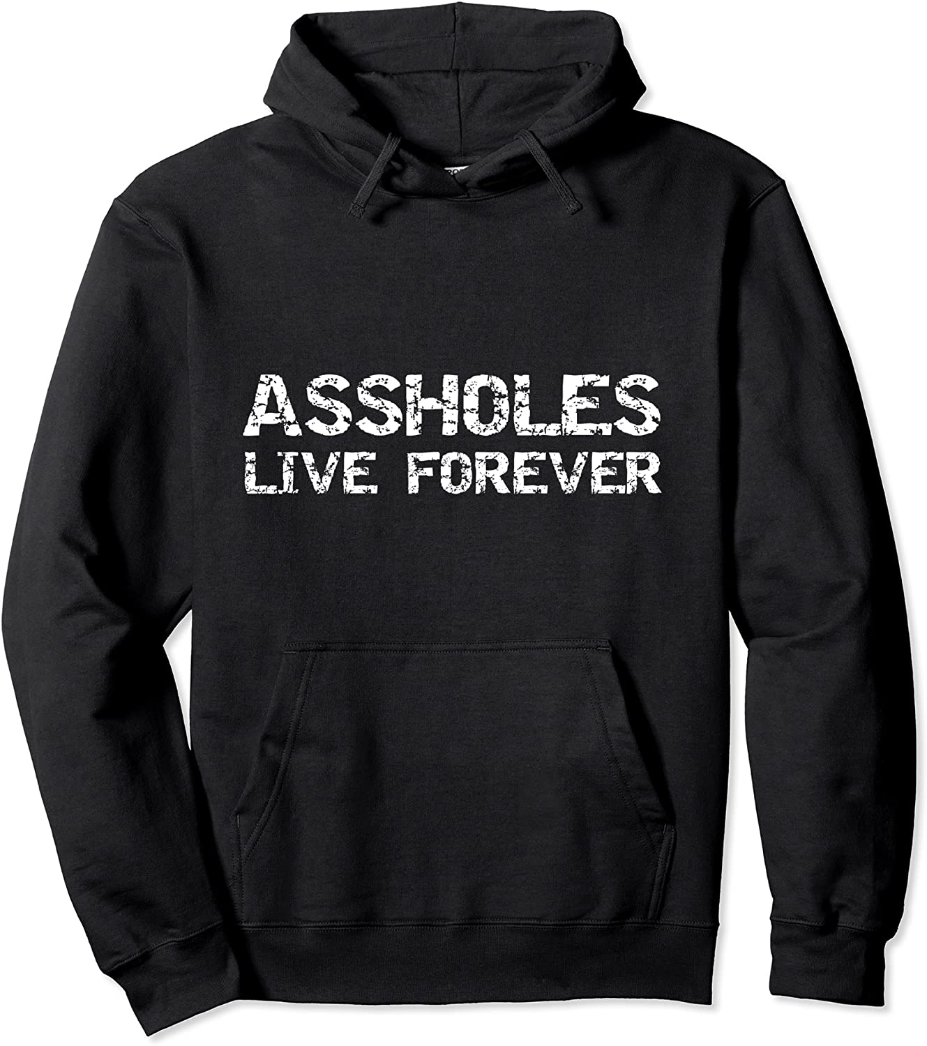 Funny Sarcastic Gift Sarcasm Quote Assholes Live Forever Pullover Hoodie