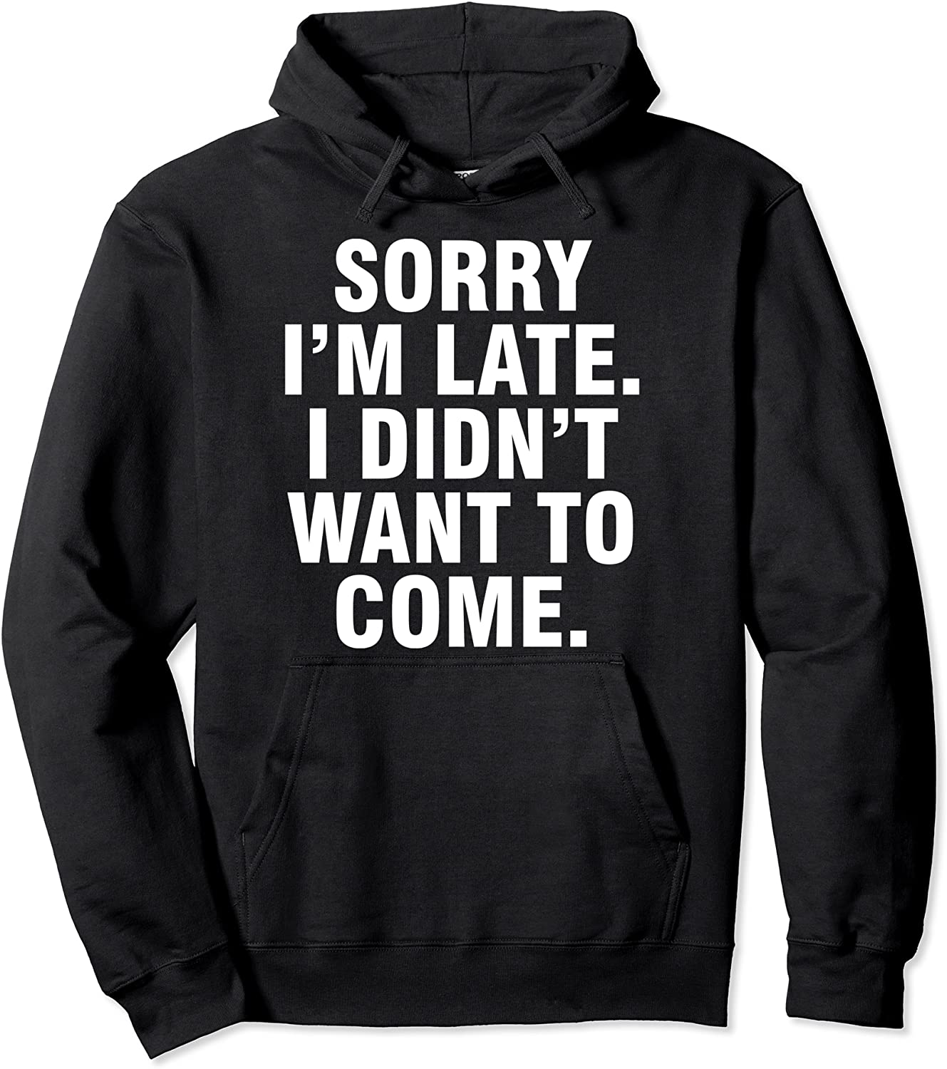Sorry Im late I didnt want to come Pullover Hoodie