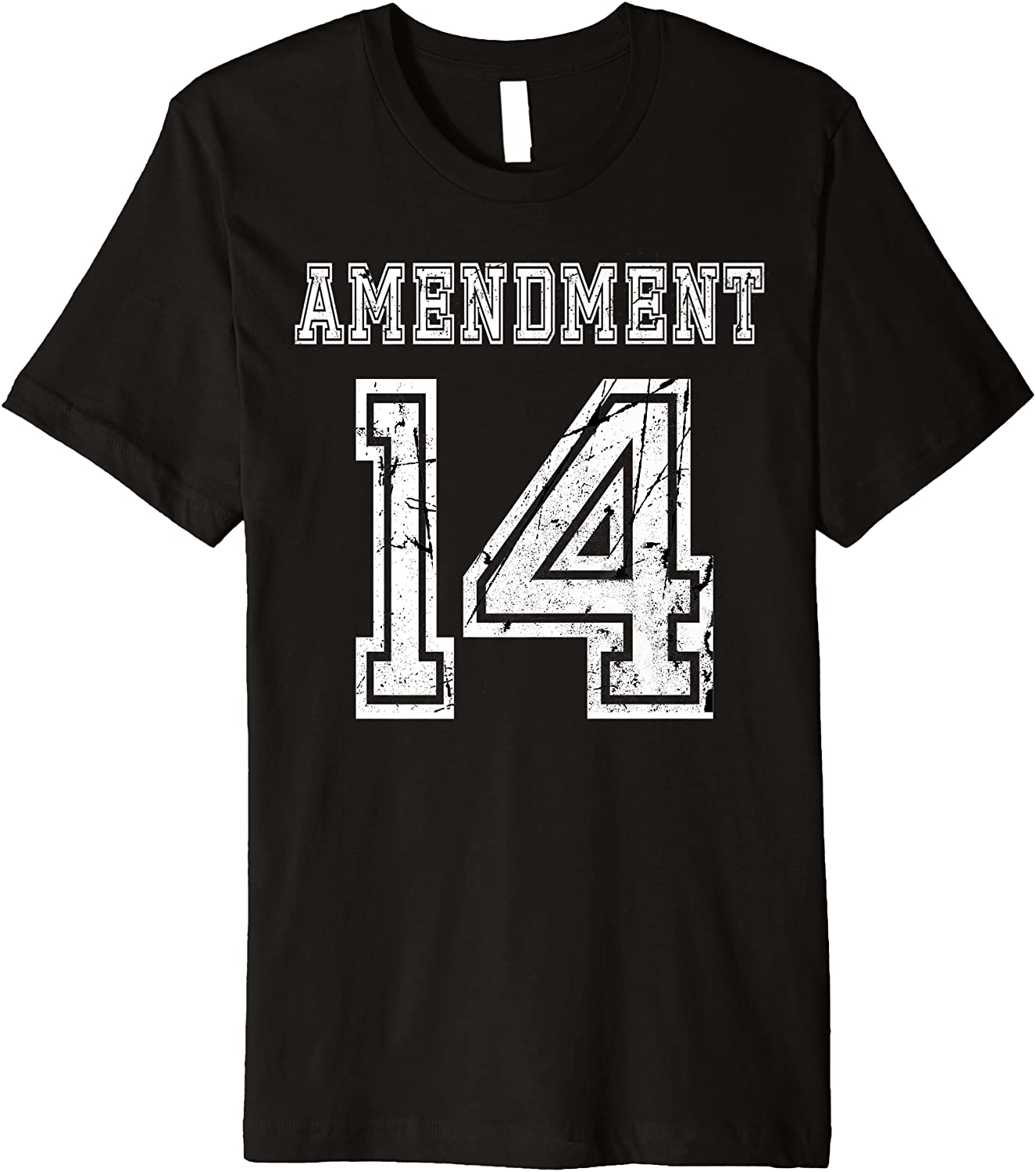 14th Amendment Constitution Citizenship Sports Premium T-Shirt