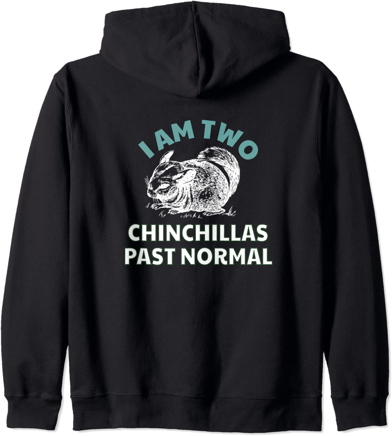 Funny Chinchilla Lover Quote Two Chinchillas Past Normal Hoodie