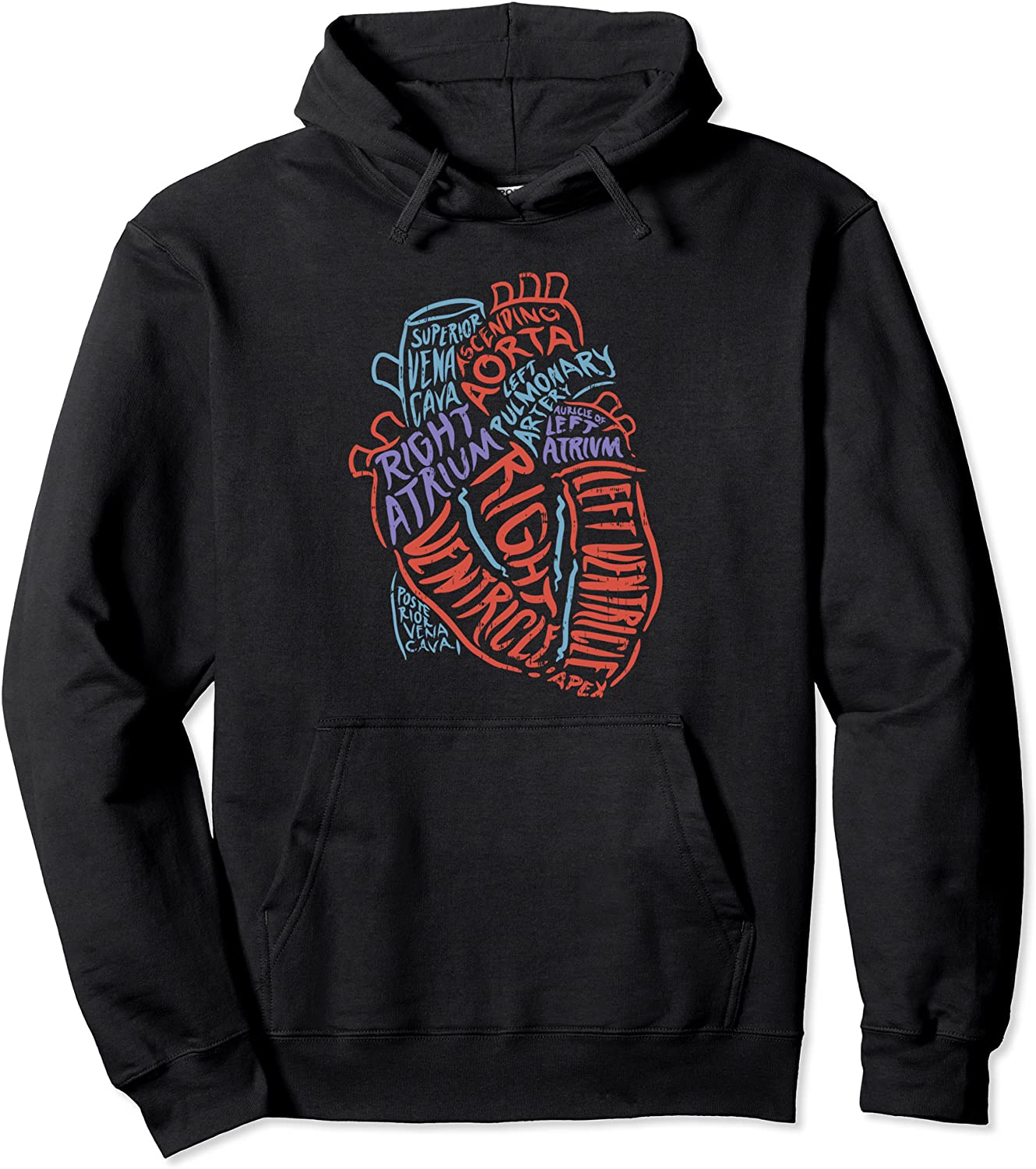 Heart Anatomy Doctor Medical Cardiovascular Biology Student Pullover Hoodie