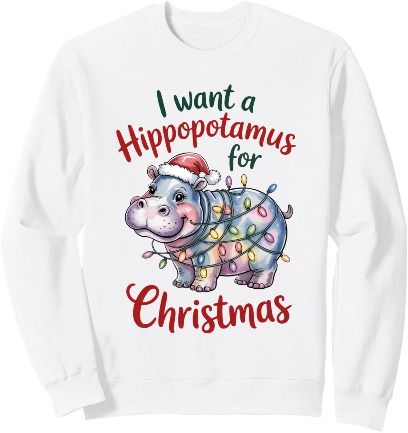 I Want A Hippopotamus For Christmas Cute Funny Hippo Sweatshirt
