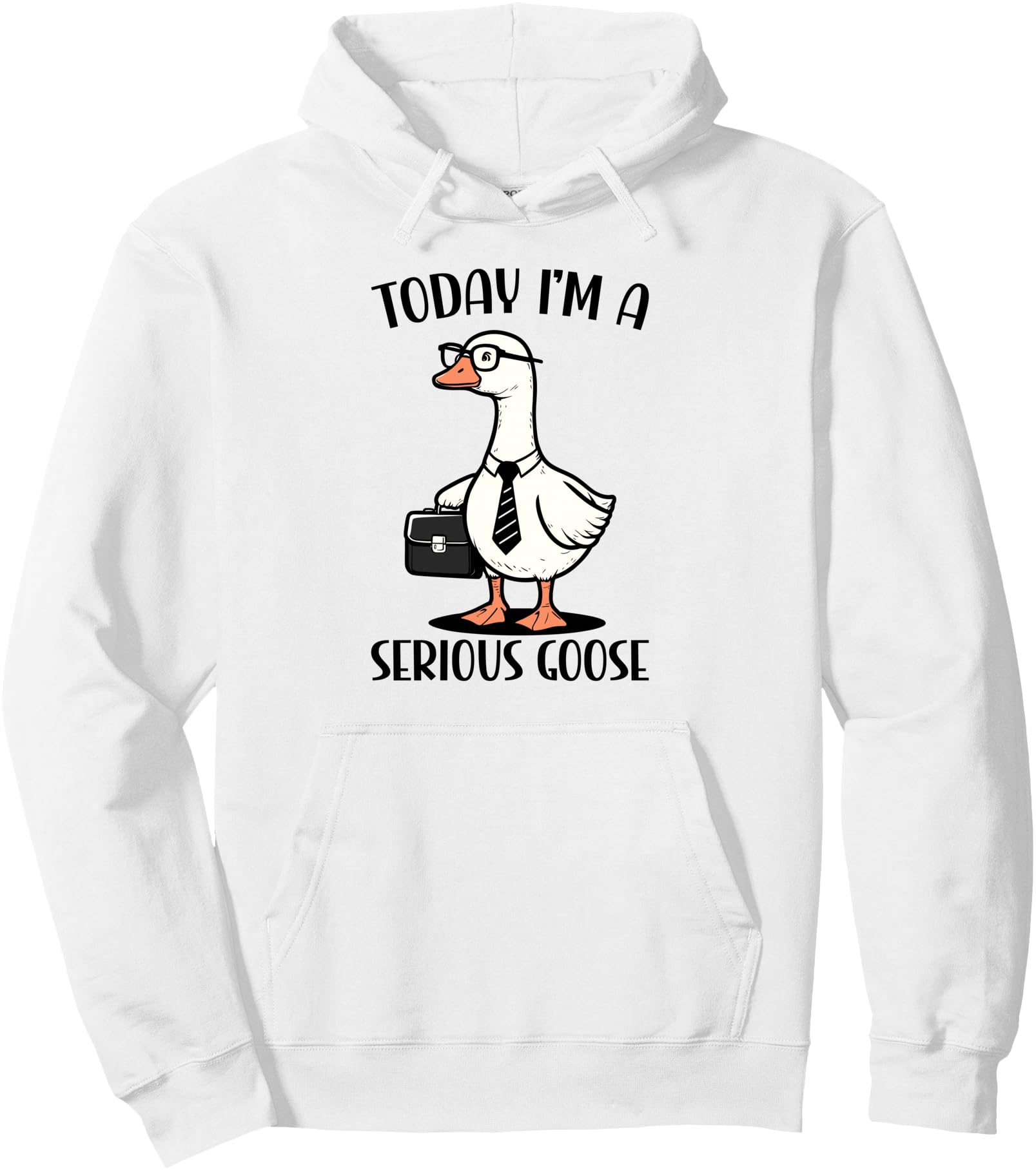 Today I'm A Serious Goose Pullover Hoodie